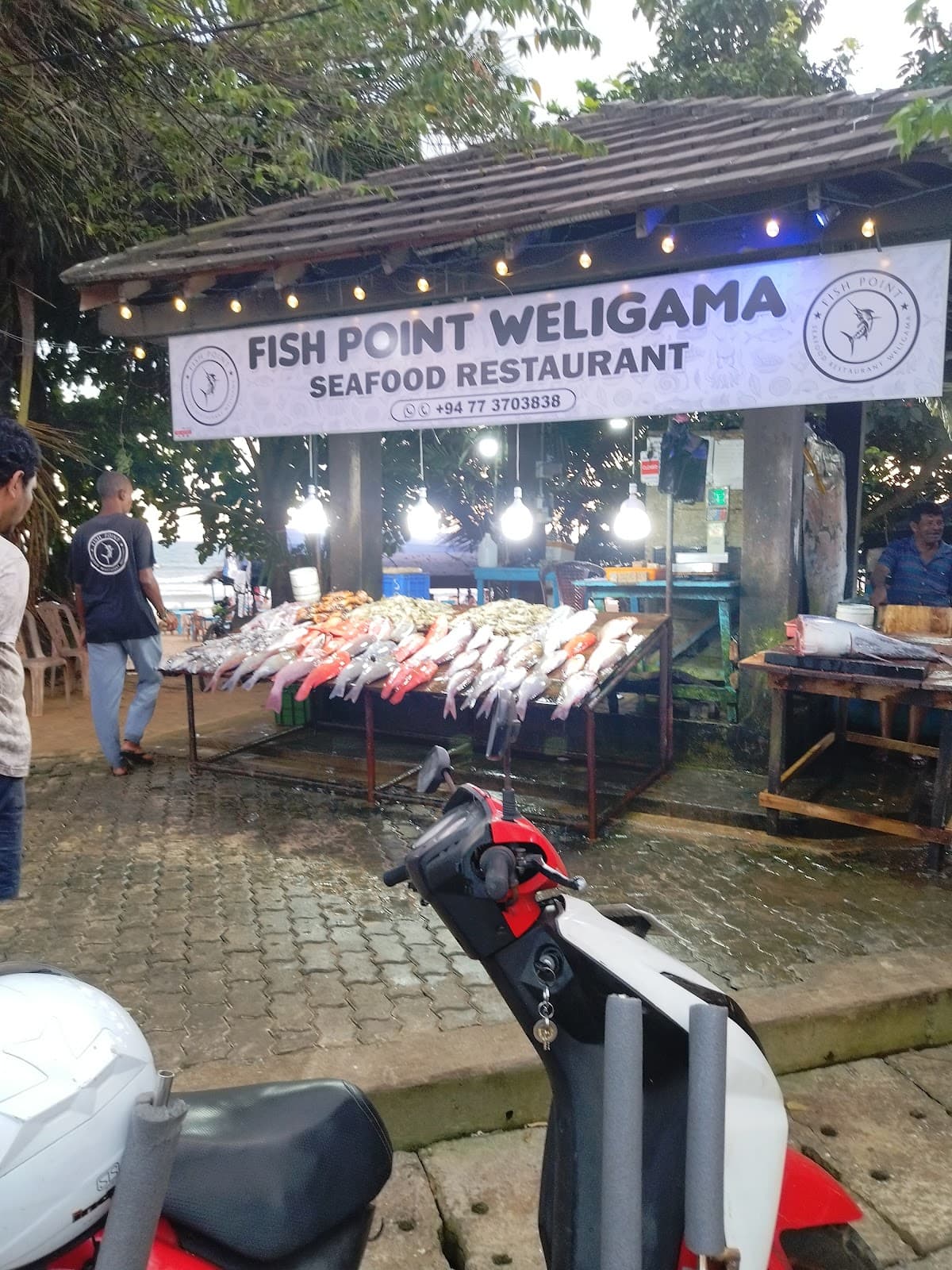 Weligama Fish Market - Image 1