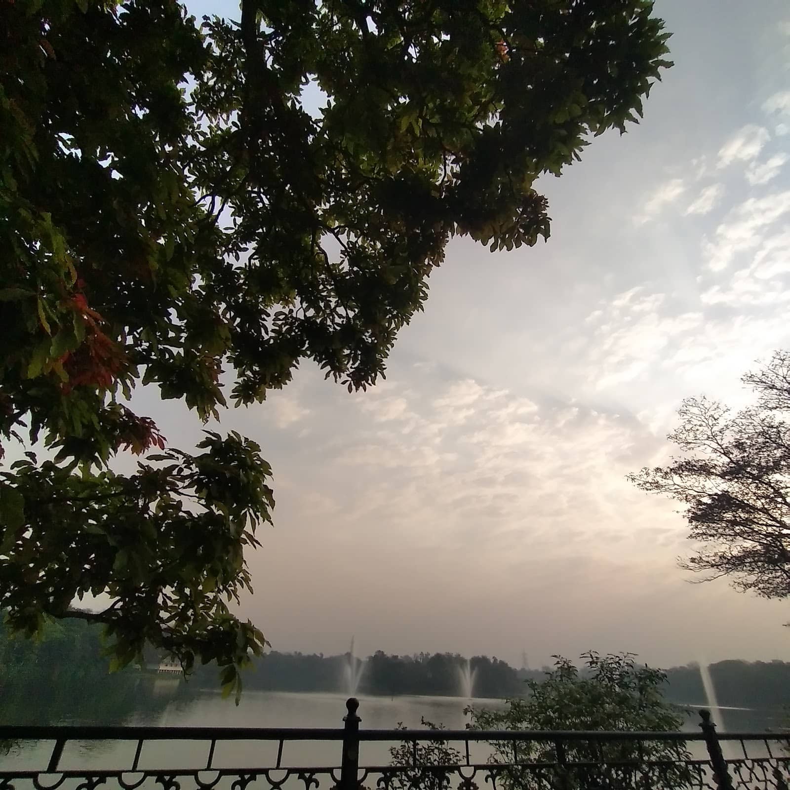 Jubilee Park Ambiance