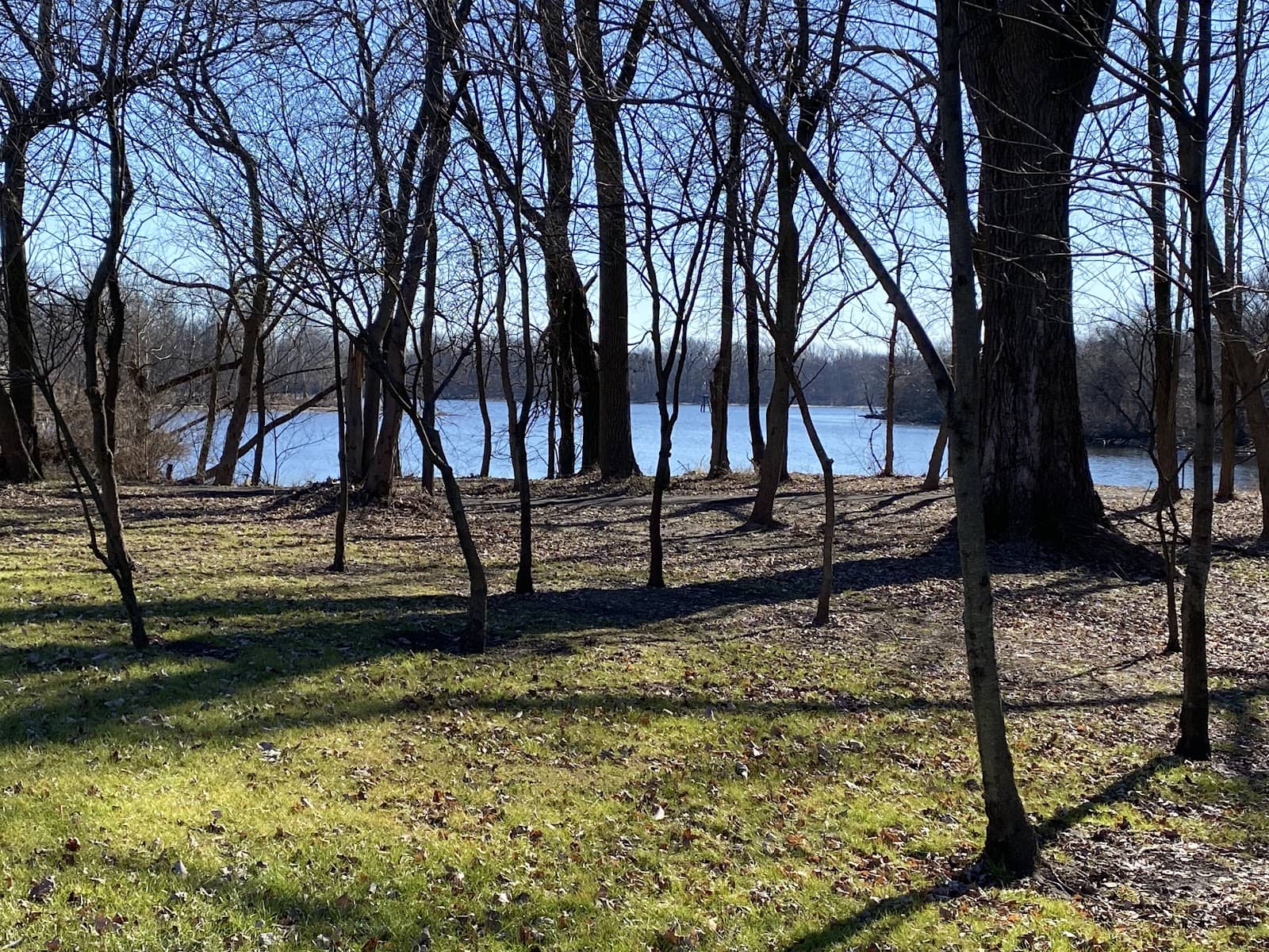 Audubon Society Engagement