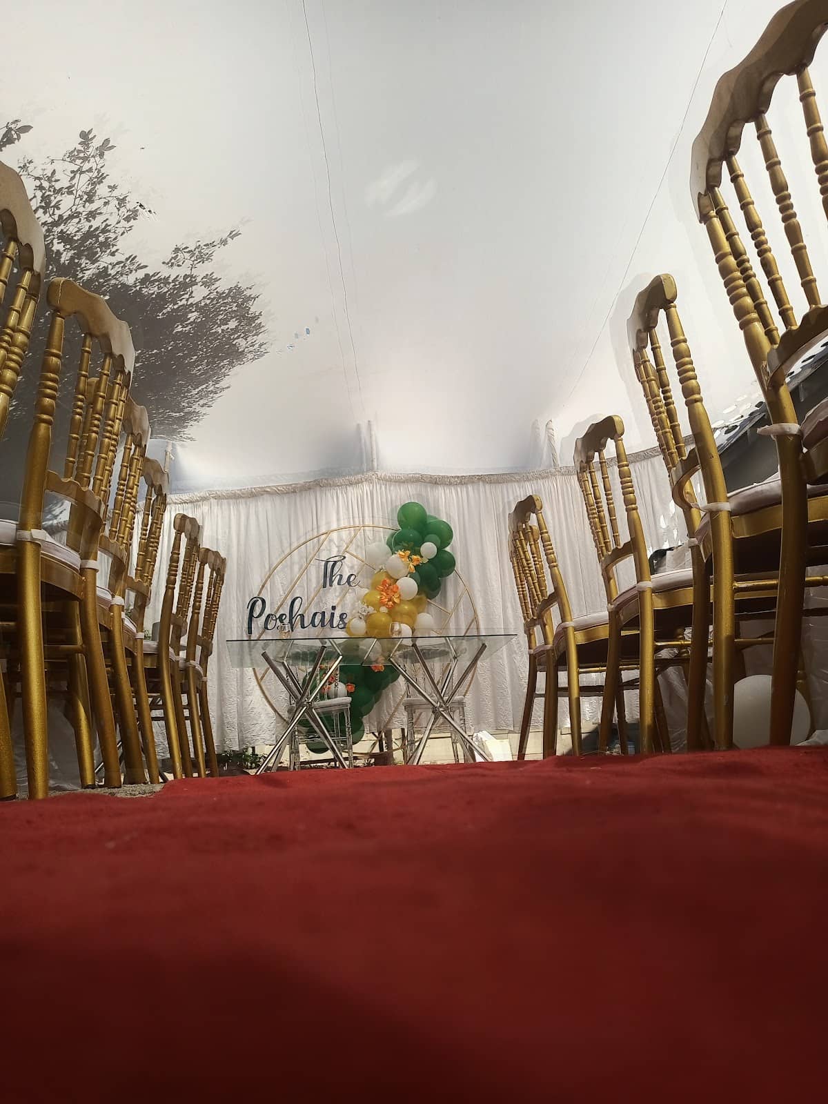 Msasa Woodland Mornings