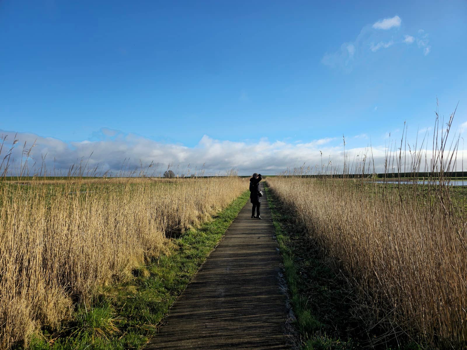 Peaceful Walking Trails