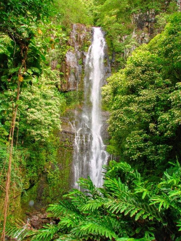 Hana Highway Scenic Drive - Image 1