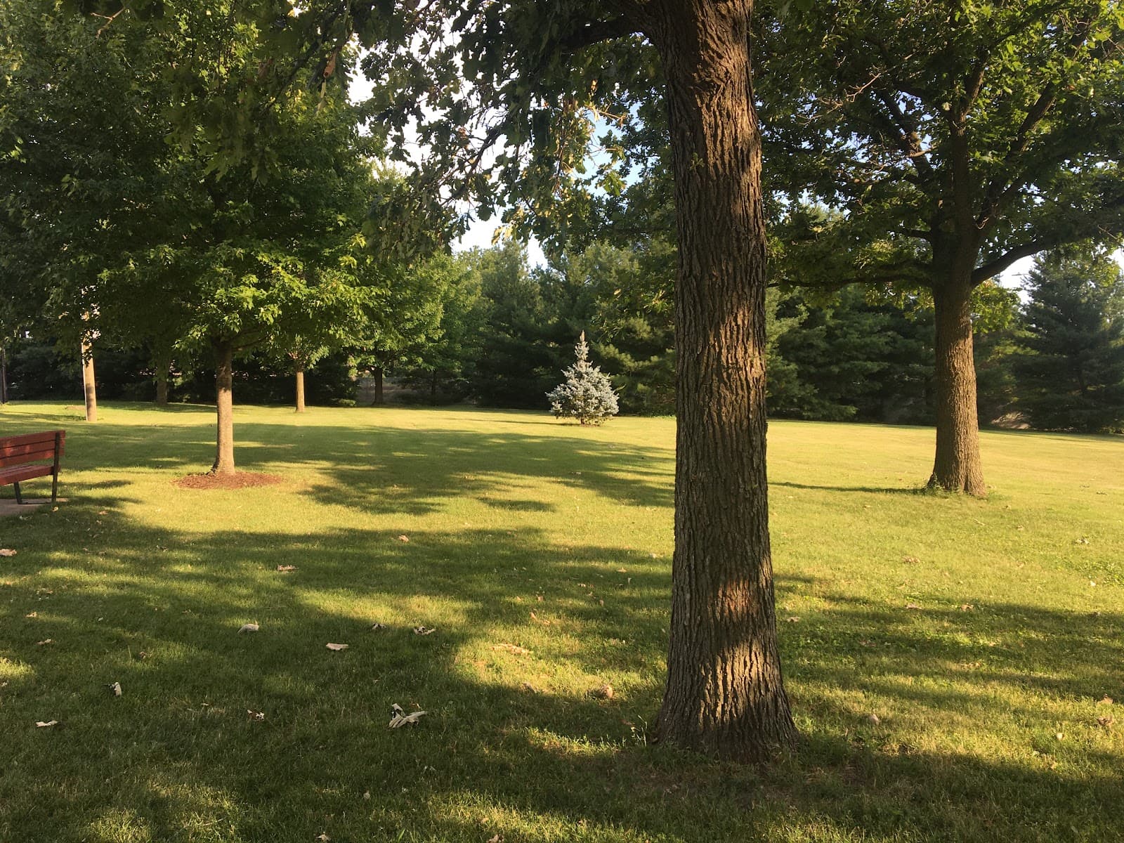 Langum Park - Image 1