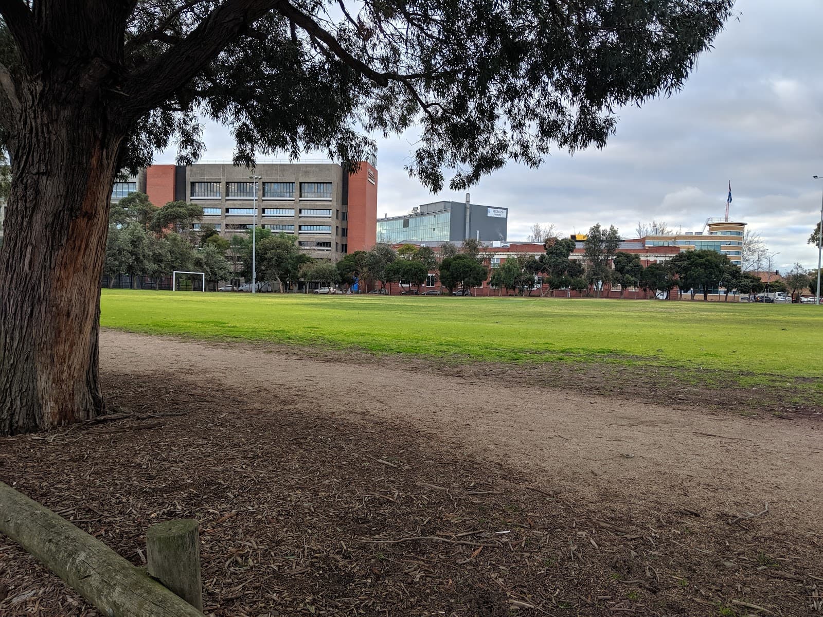 East Caulfield Reserve (Urban Forest) - Image 1