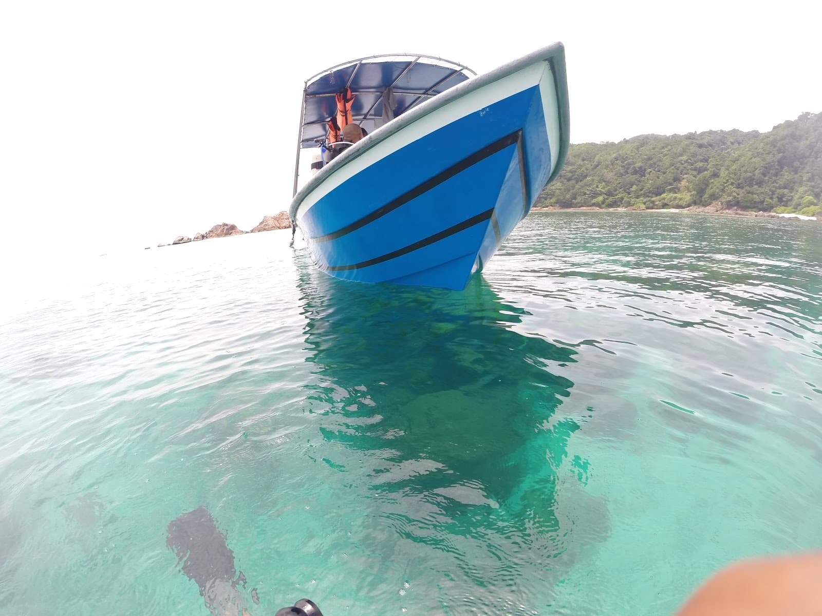 Pulau Paku Dive Site Redang Island - Image 1