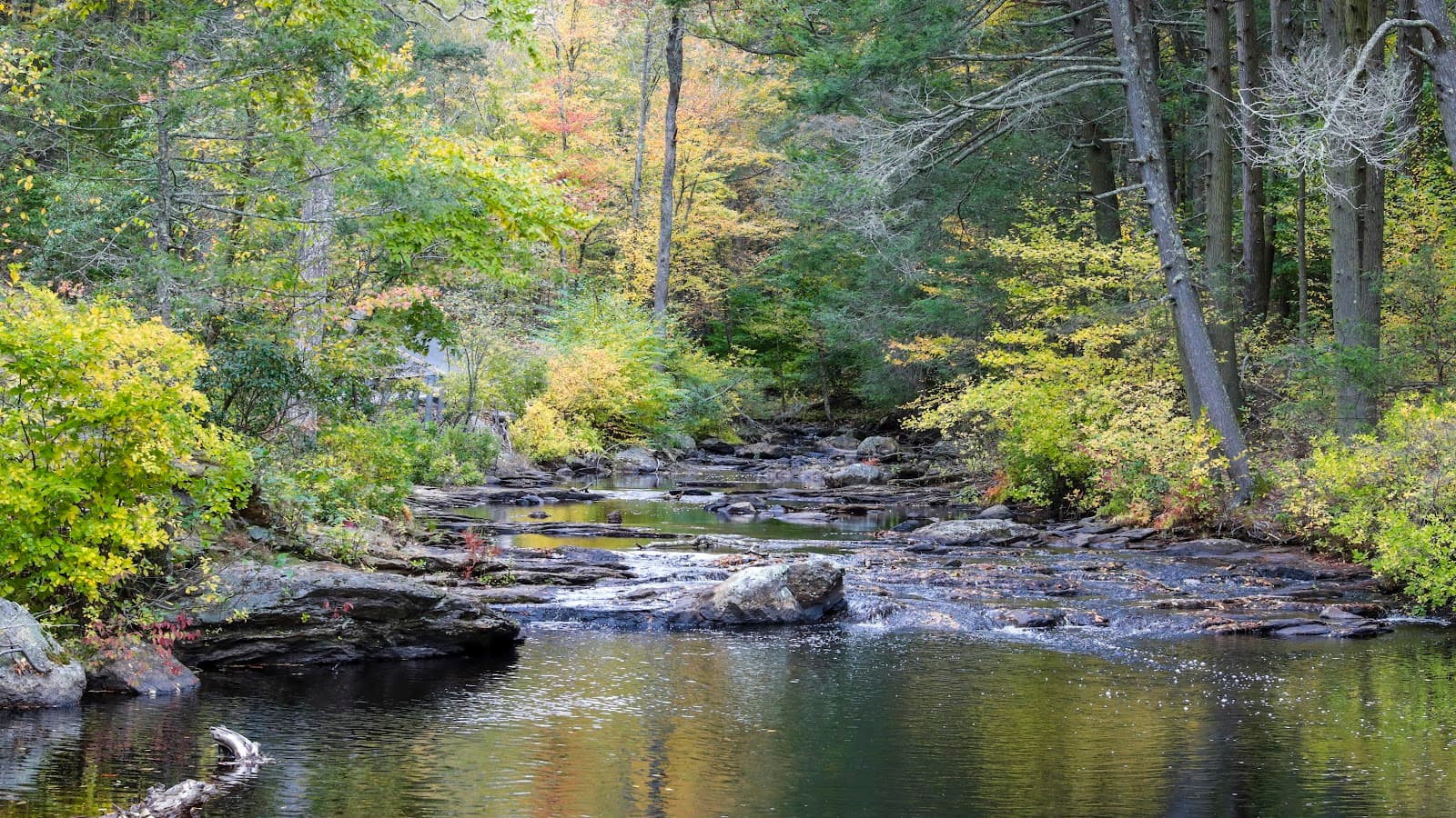 Eightmile River Scenic Area - Image 1