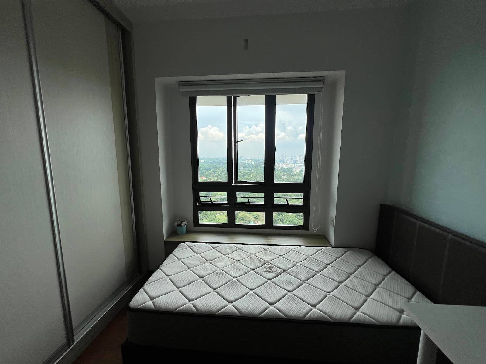 Rain Garden Serenity