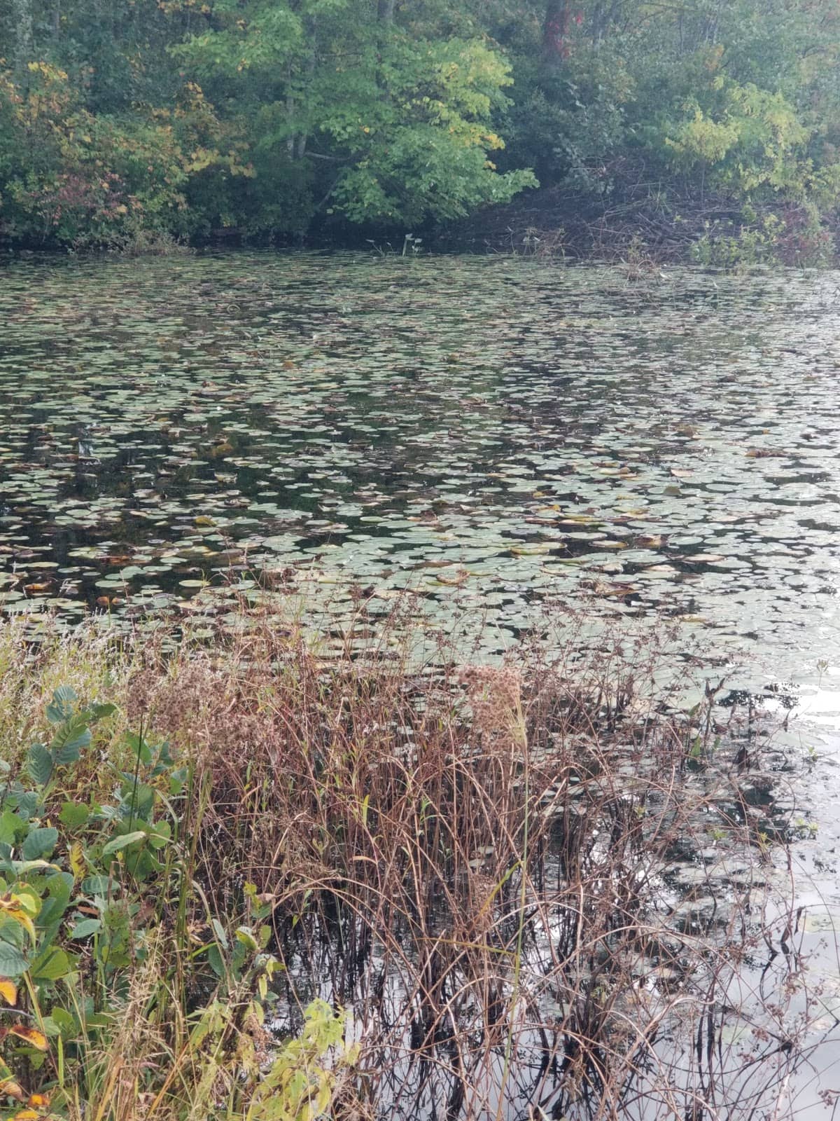 Goodspeed Opera House