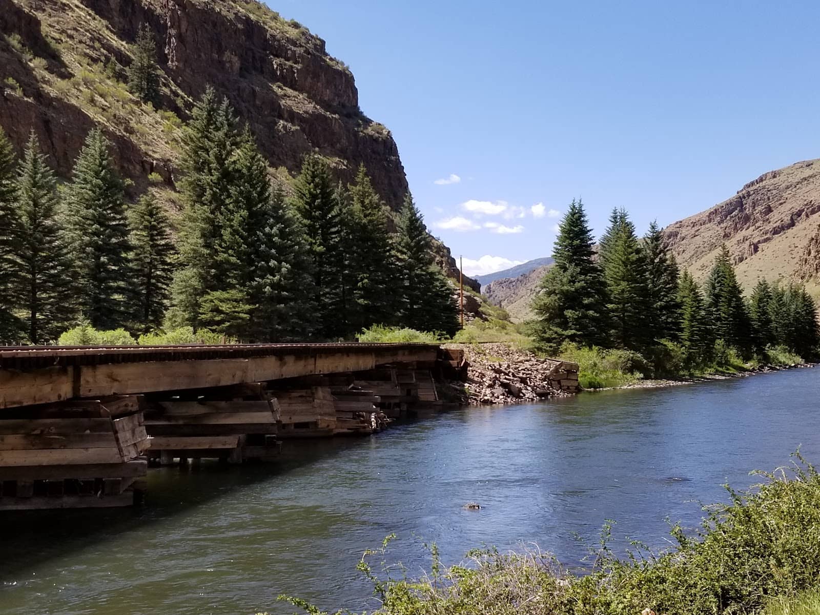 Wildlife Spotting Opportunities