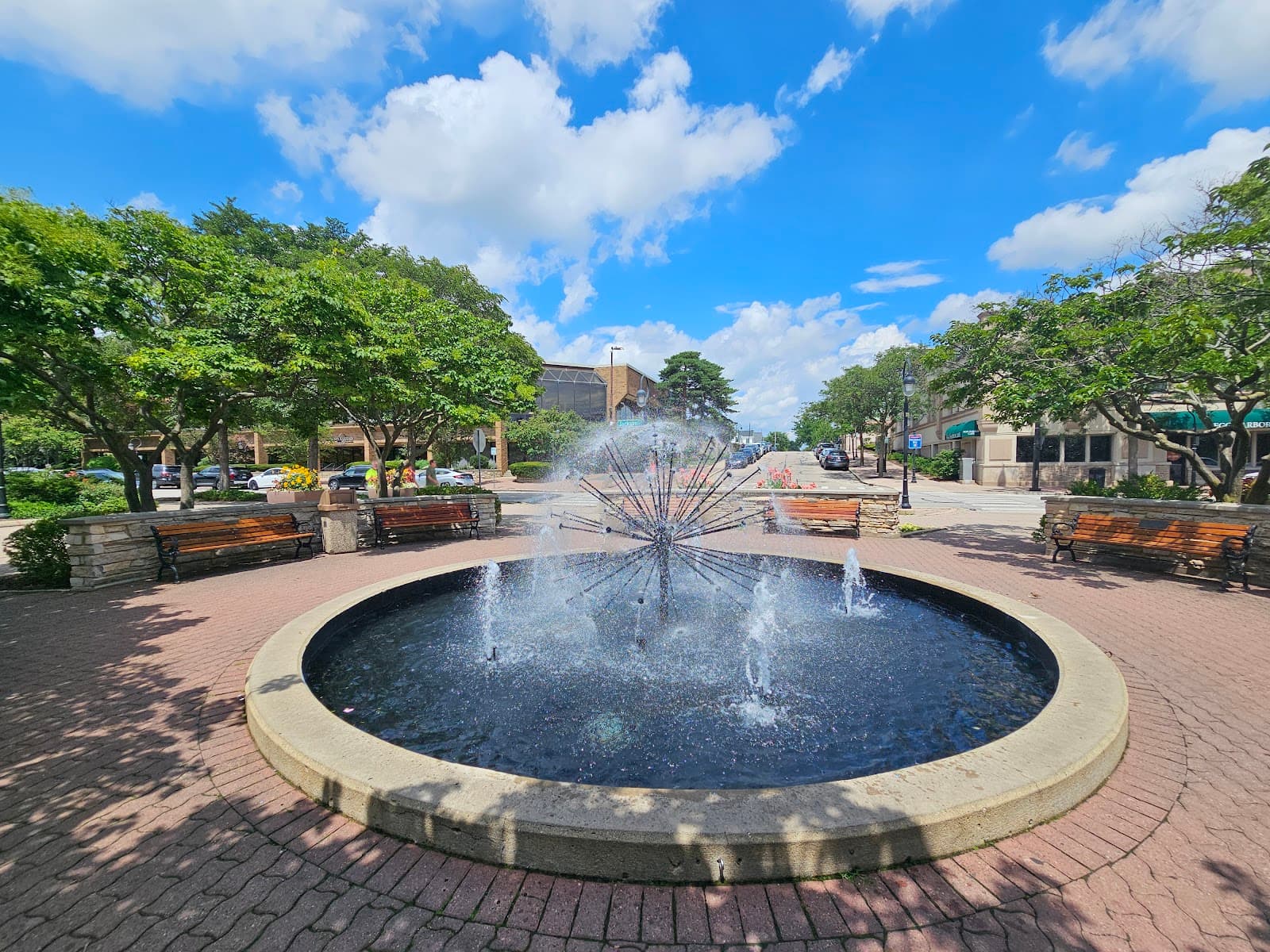 Dandelion Fountain - Image 1