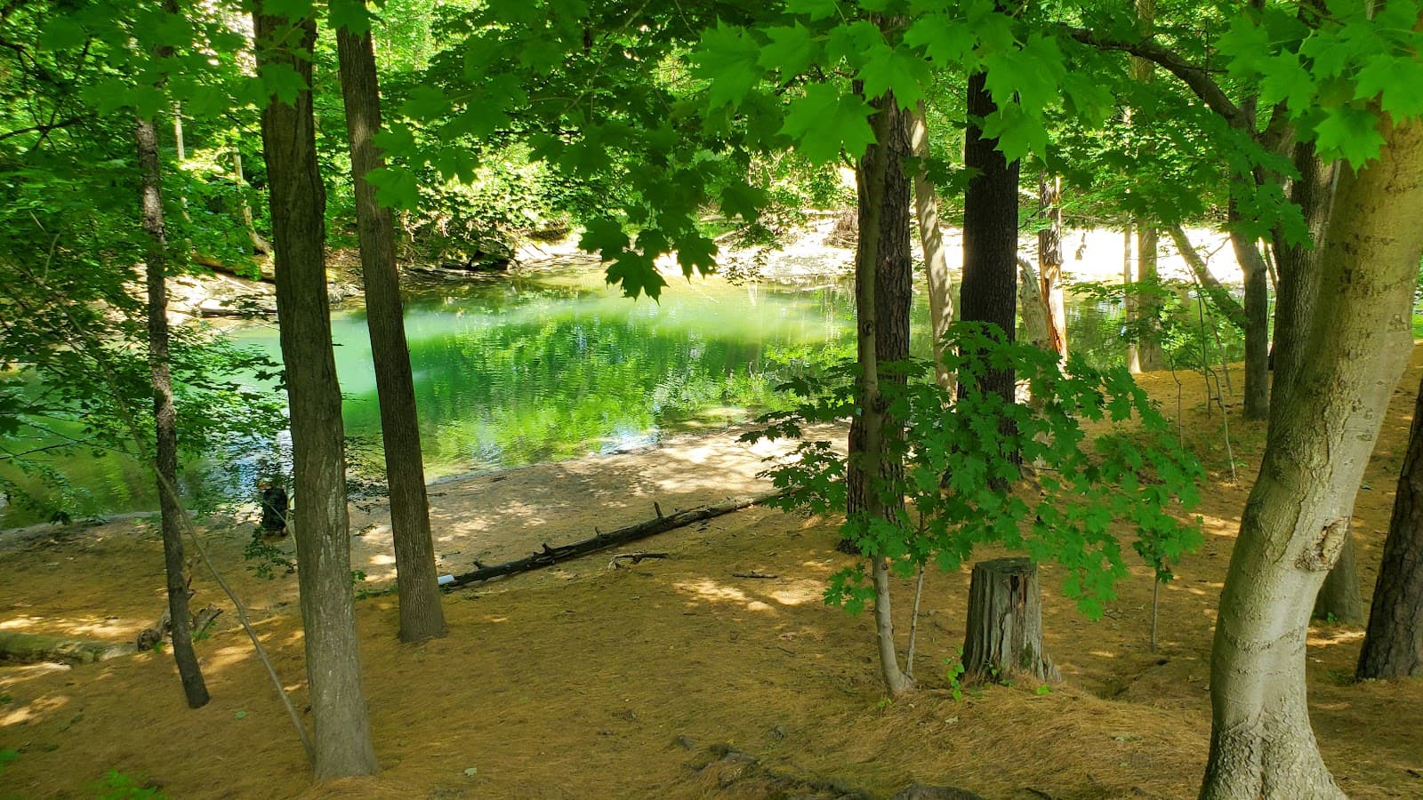 Linear Park (Green River) - Image 1