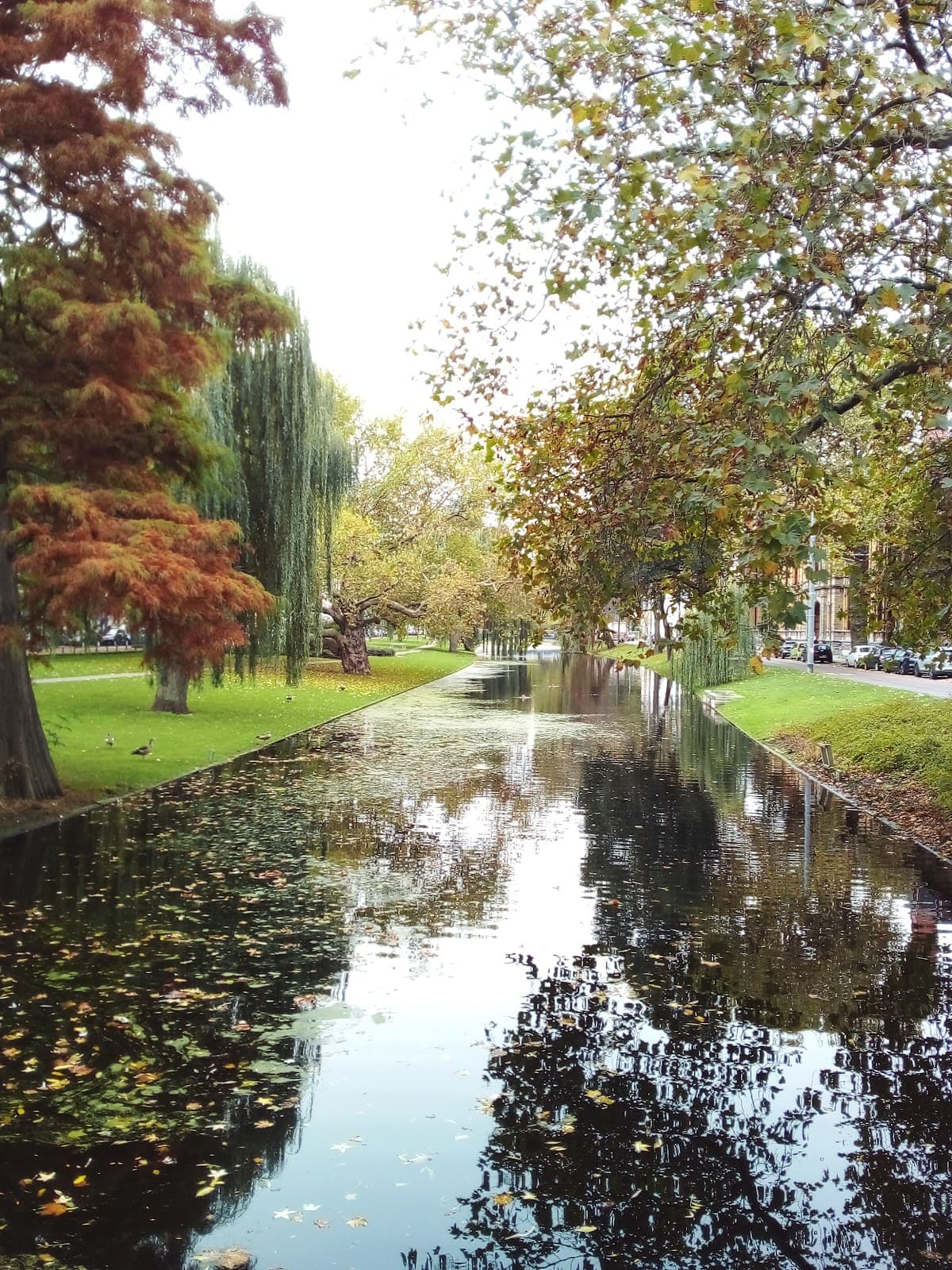 Oude Noorden - Image 1