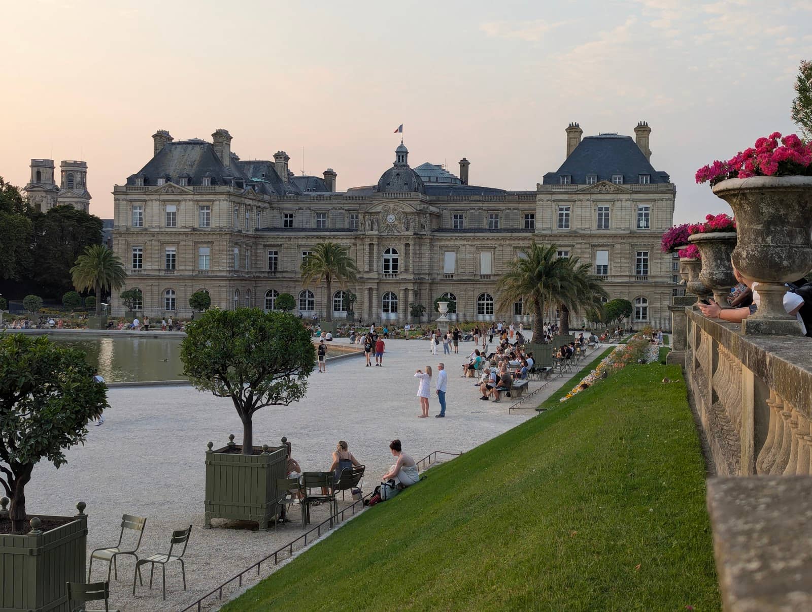 Citrus & Exotic Plants