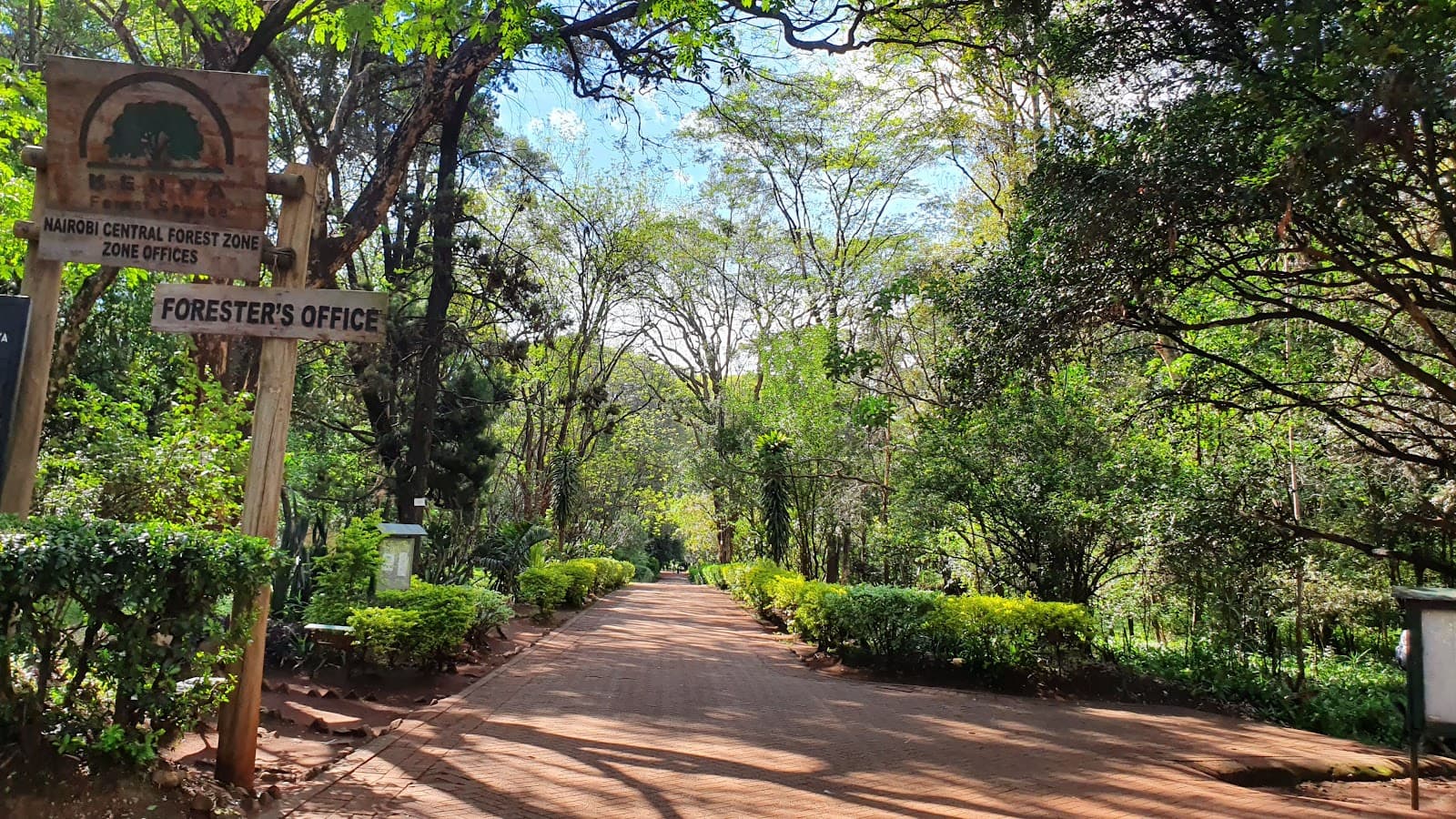 Nairobi Arboretum - Image 1