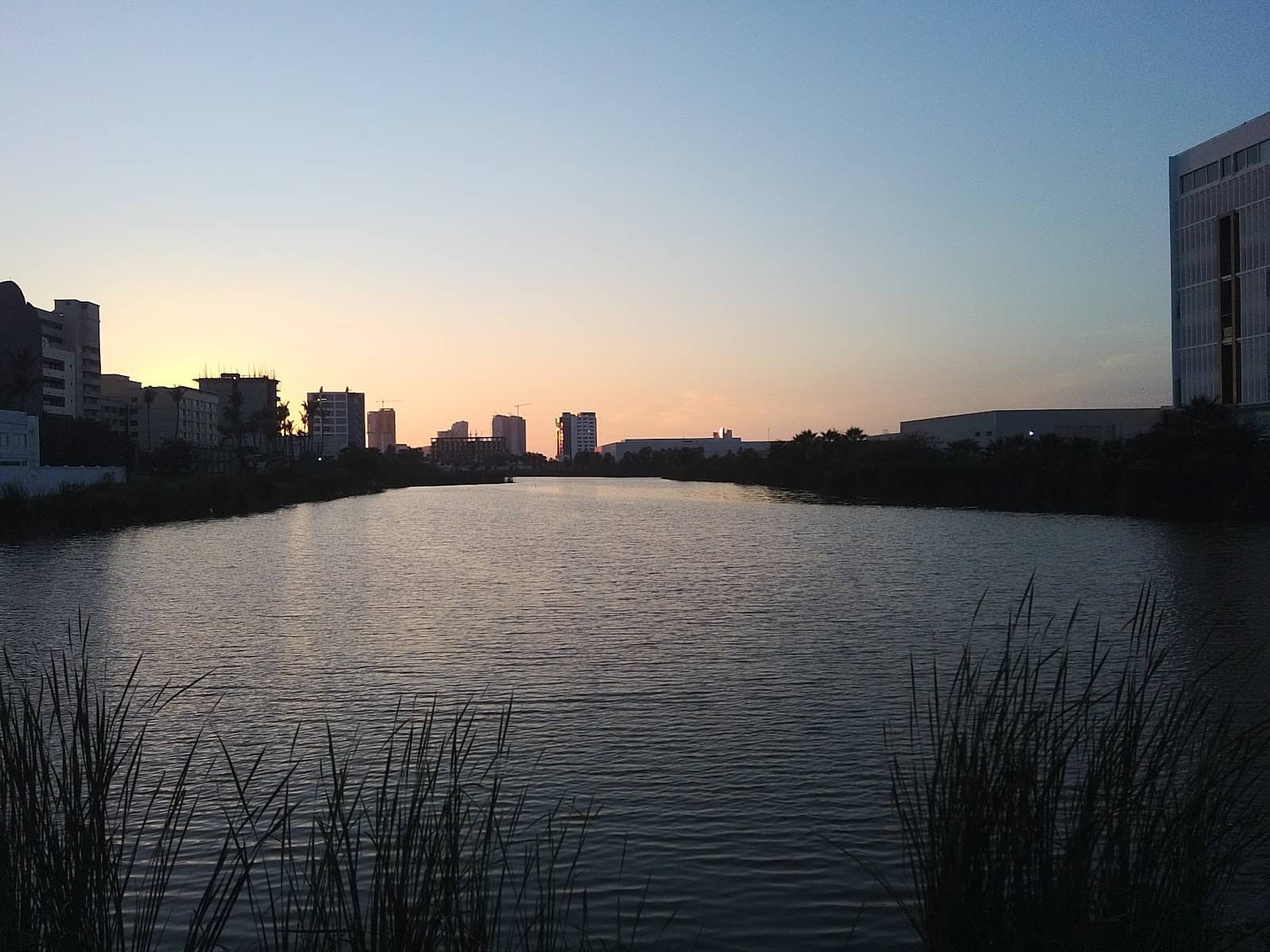 Shrimp Aquarium Exhibit