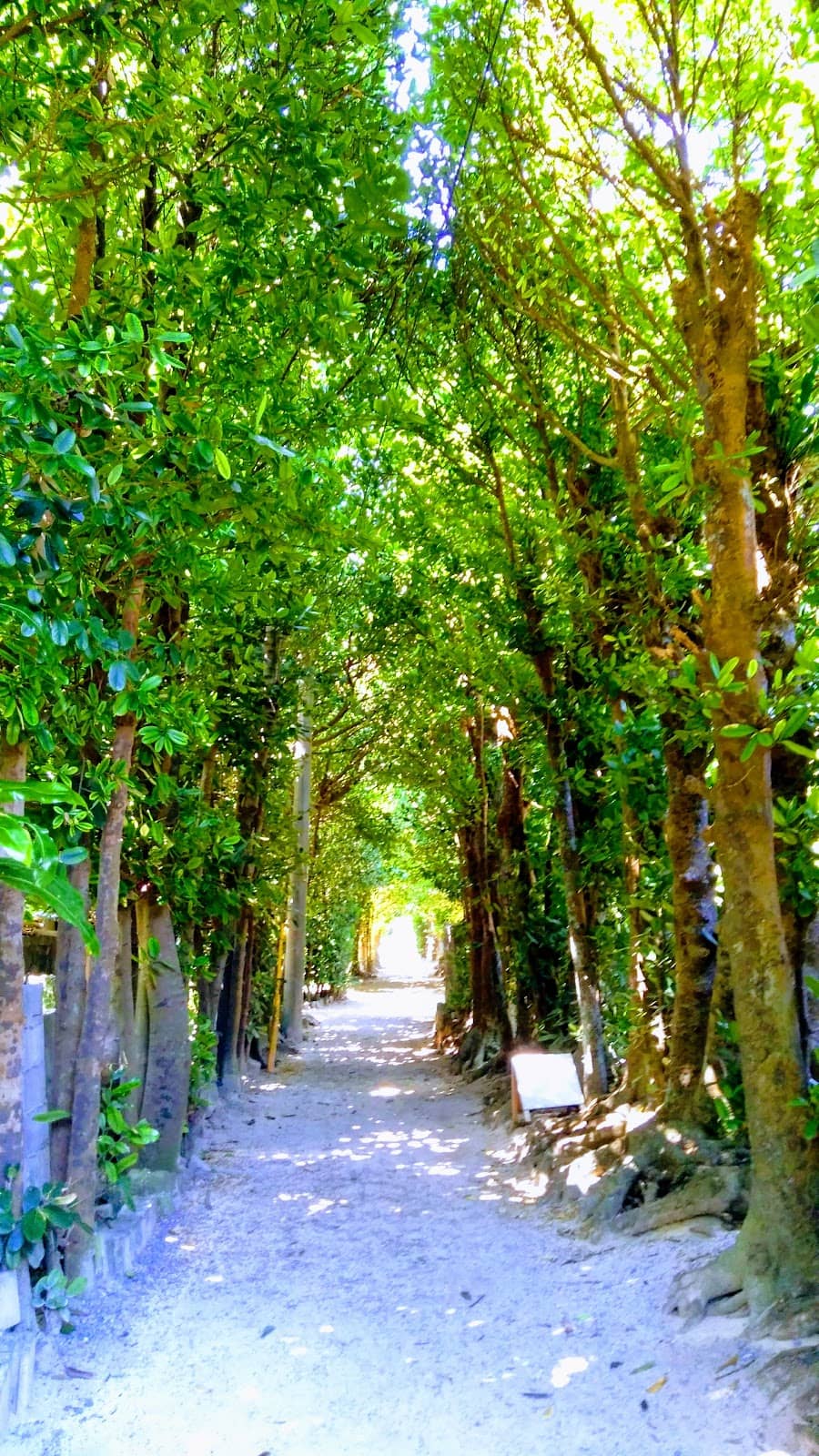Traditional Okinawan Houses