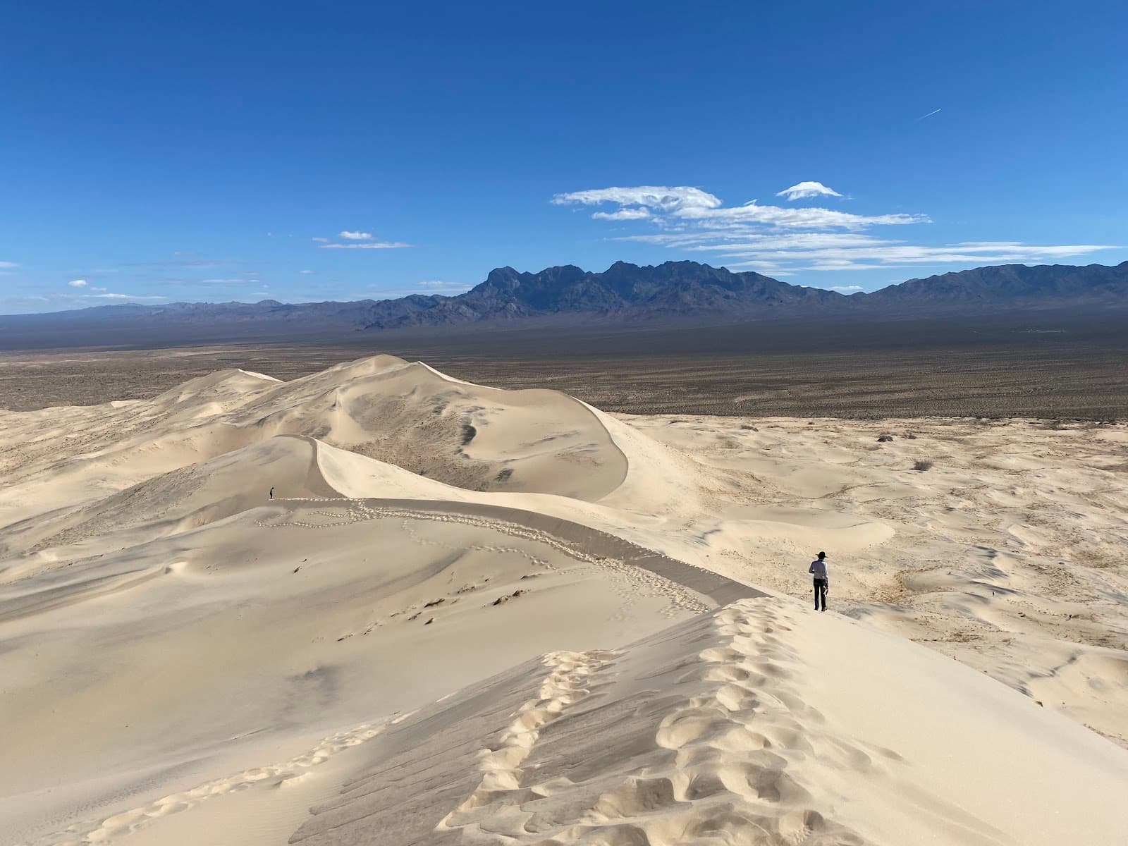 Kelso Dunes - Image 1
