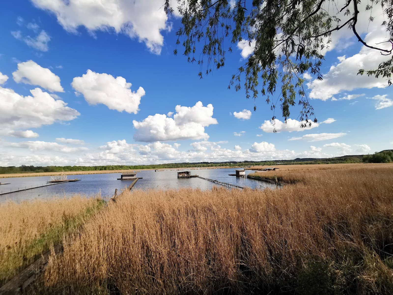 Birdwatcher's Paradise