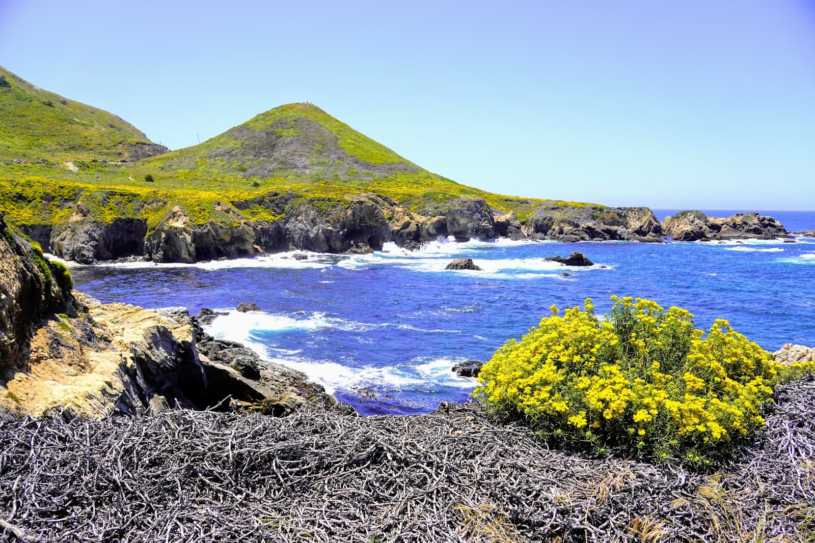 Garrapata State Park Soberanes Point - Image 1