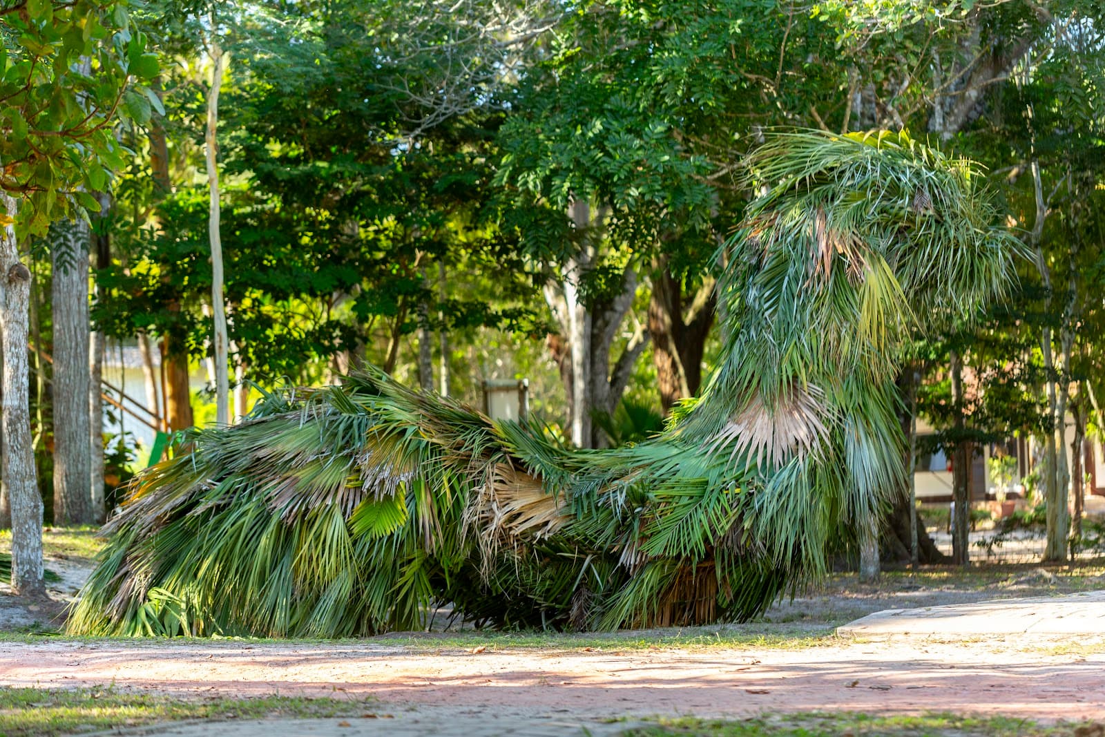 Museu Vale Vila Velha - Image 1
