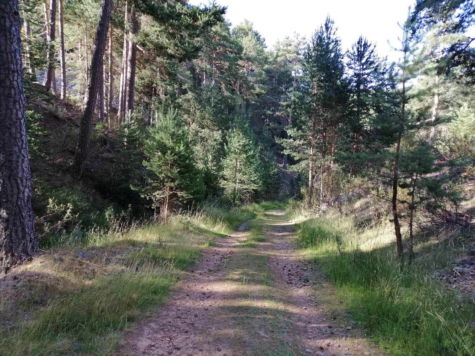 Diverse Natural Landscapes