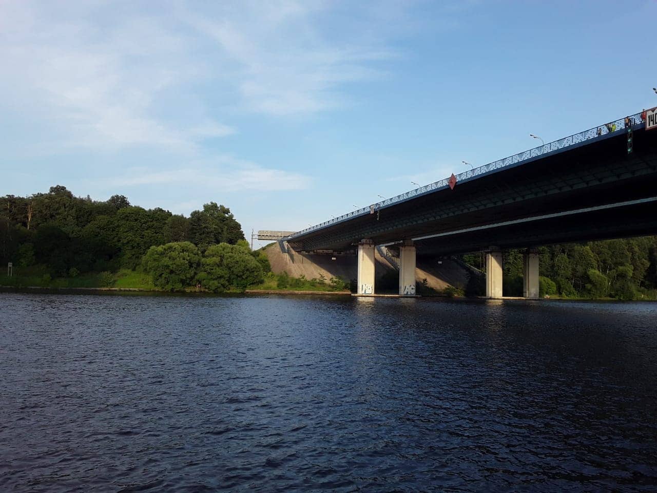 Chemical Forest Trails