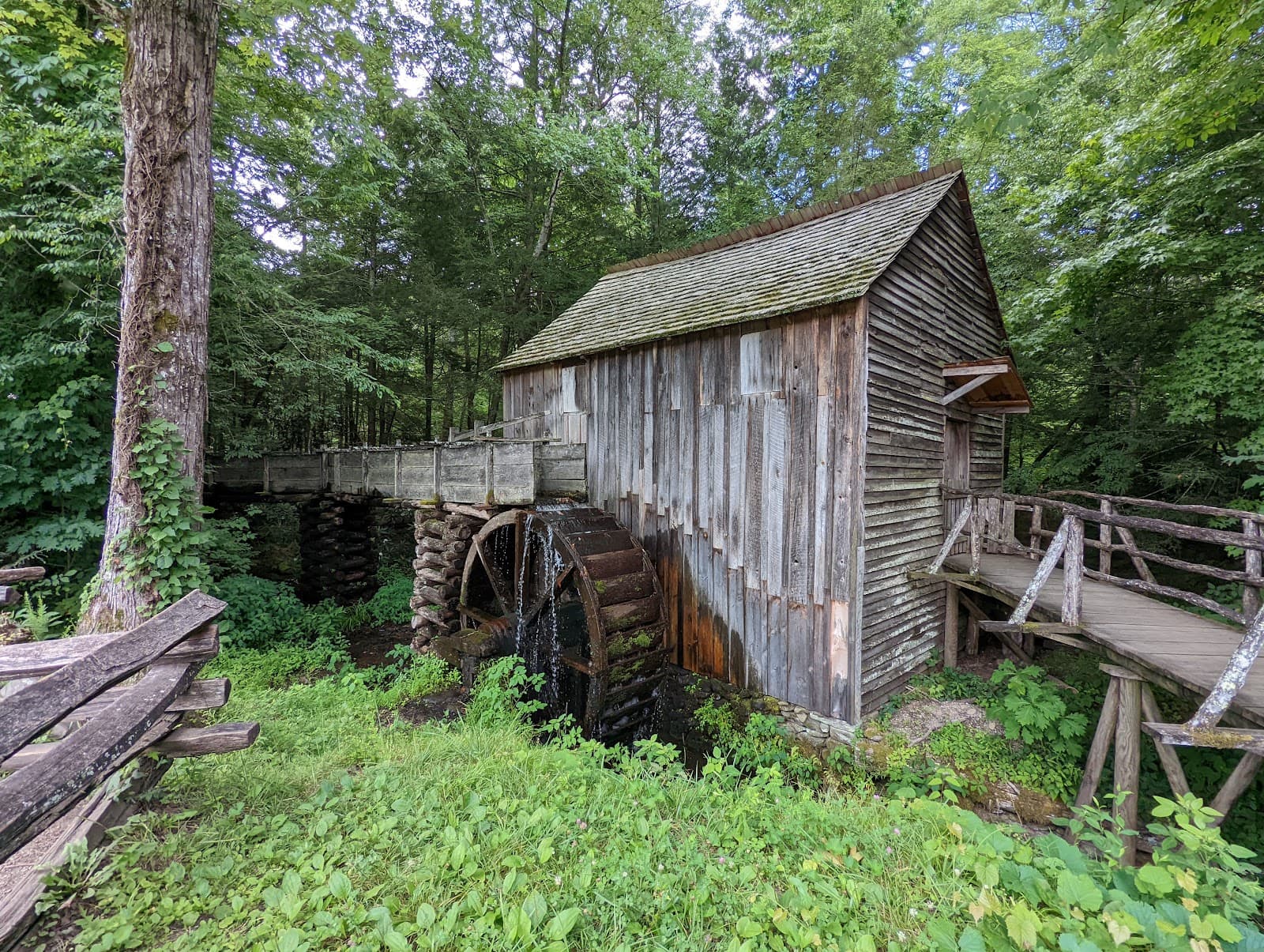 Cades Cove Campground - Image 1