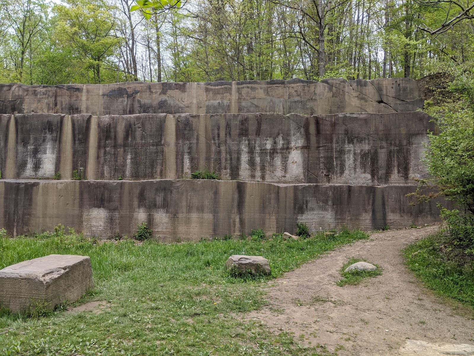 Deep Lock Quarry Metro Park - Image 1