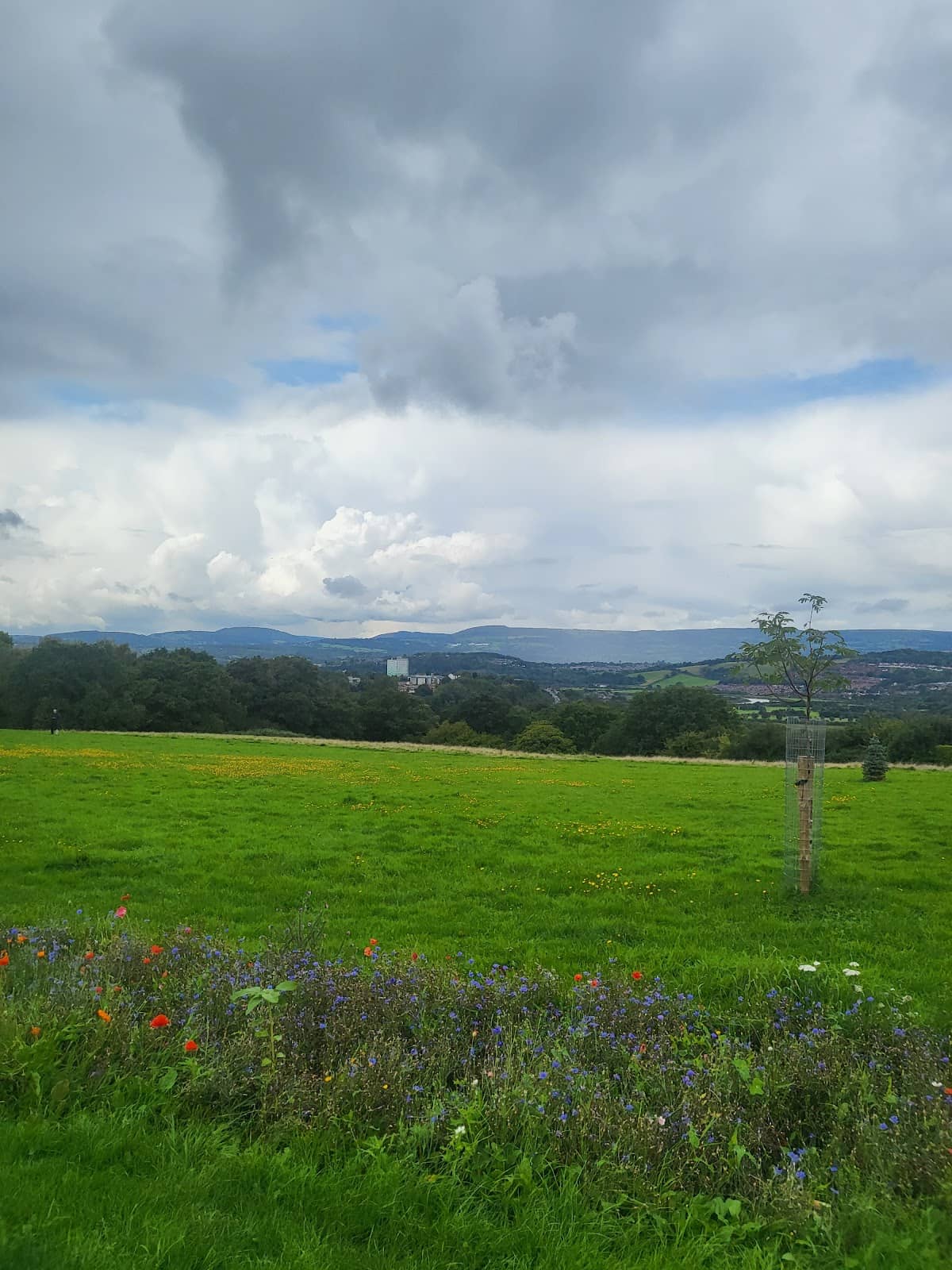 Christchurch Gondola
