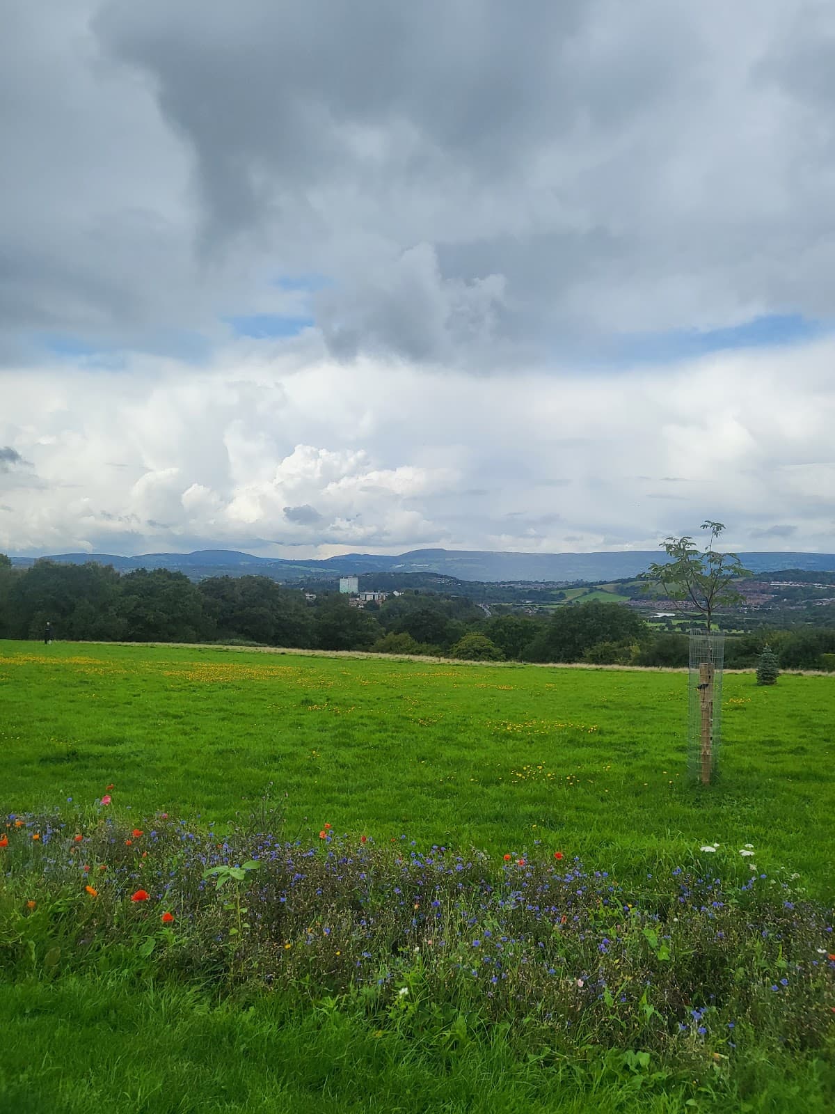 Christchurch Viewpoint - Image 1