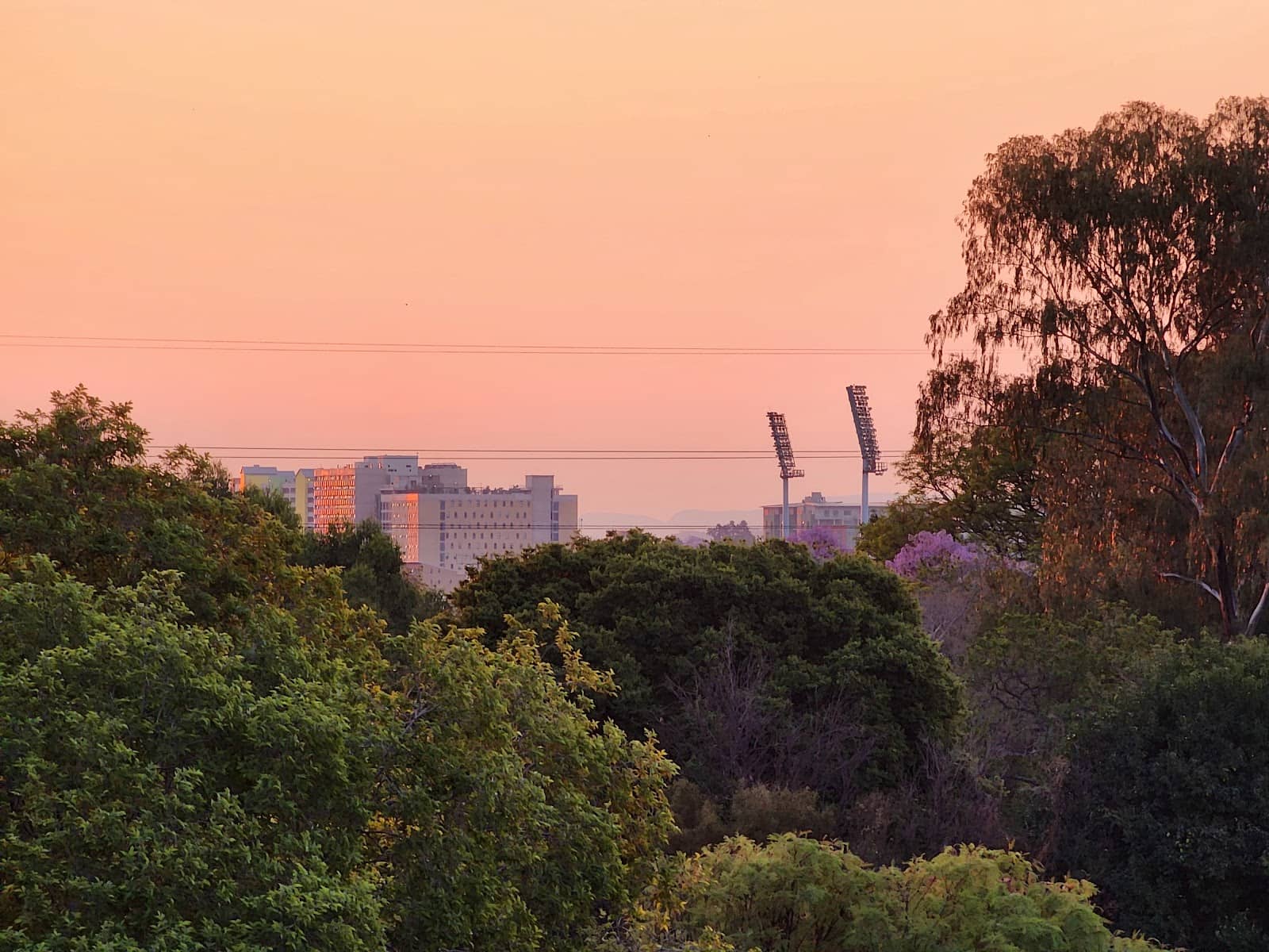 Elizabeth I's Oak Tree