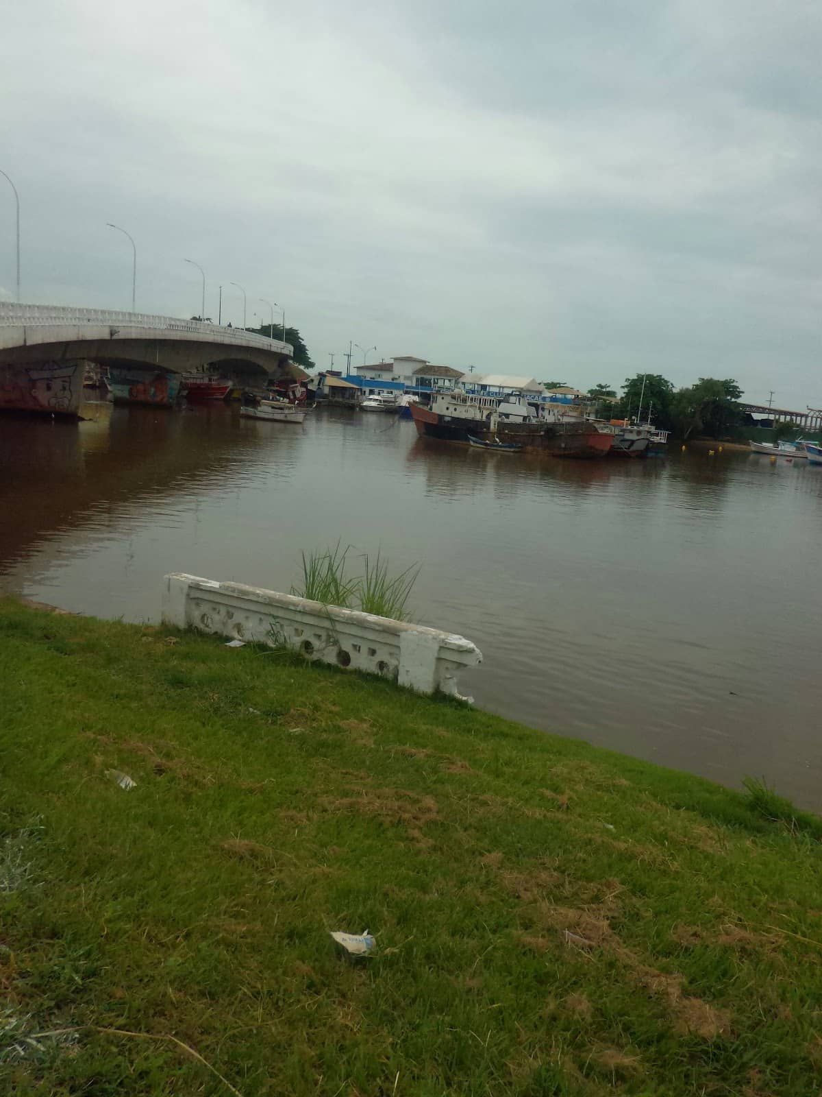 Scenic River Meets Sea