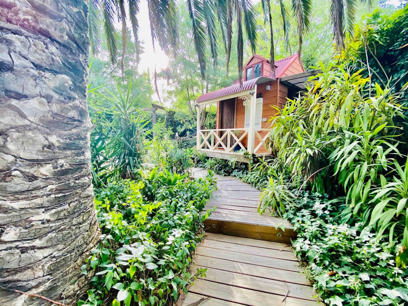 Barossa Makers & Beyond Market