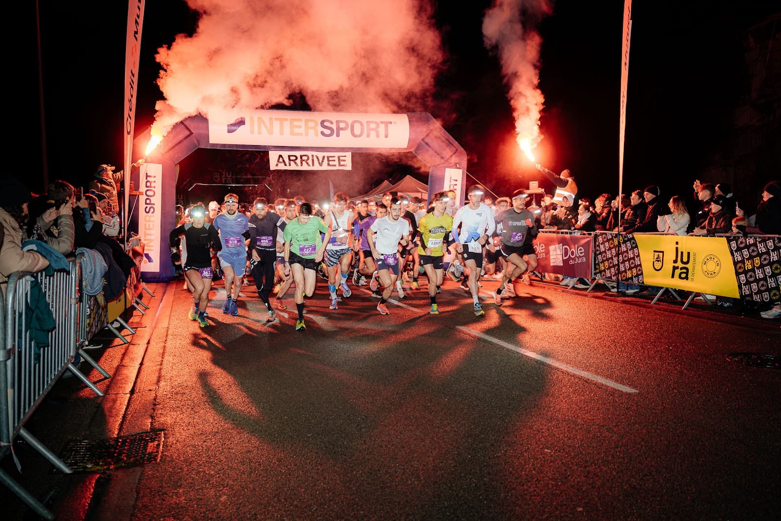 Trail of the Perched Cat - Image 1