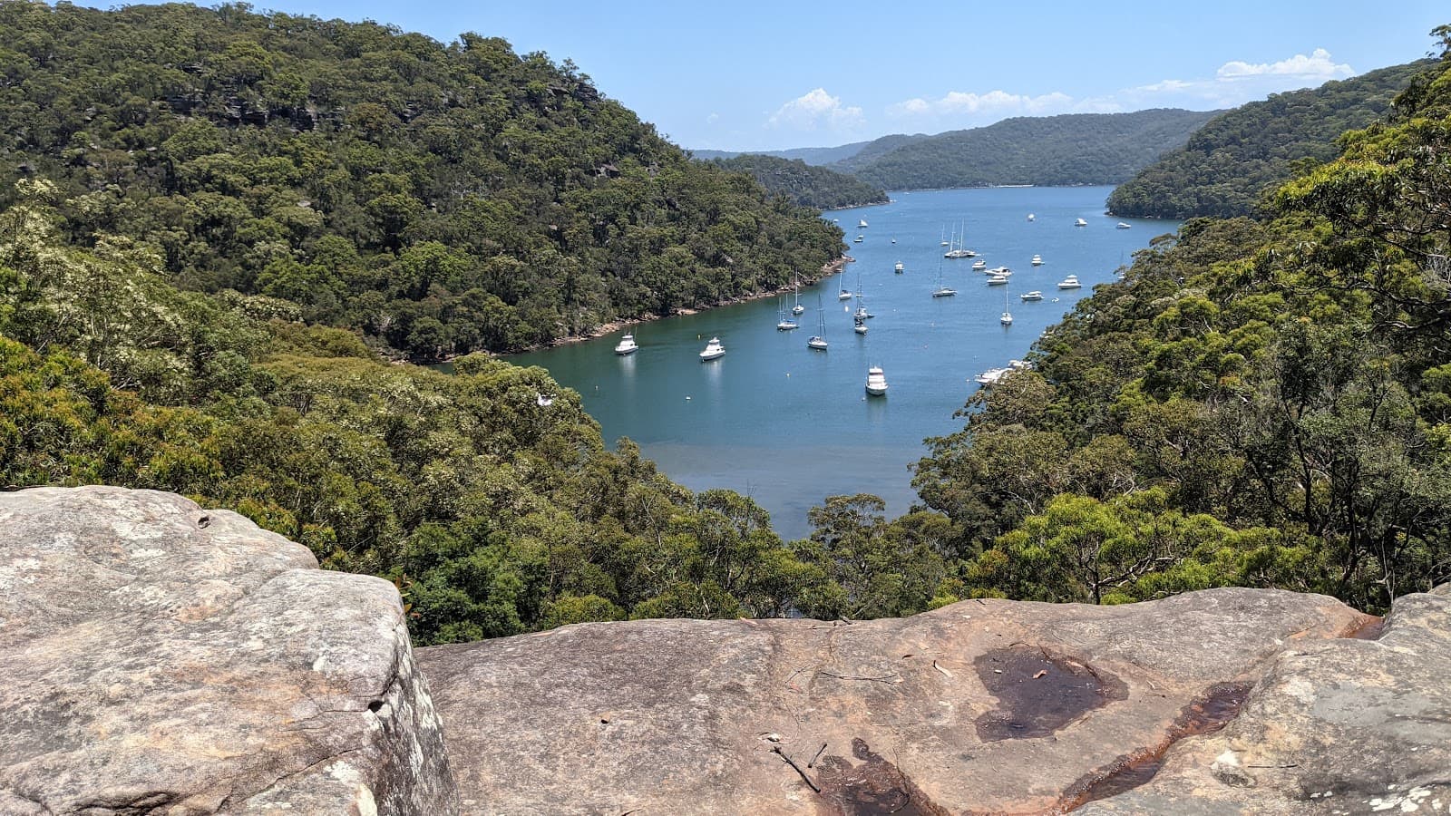 America Bay Track, Ku-ring-gai Chase National Park NSW 2073, Australia - Image 1