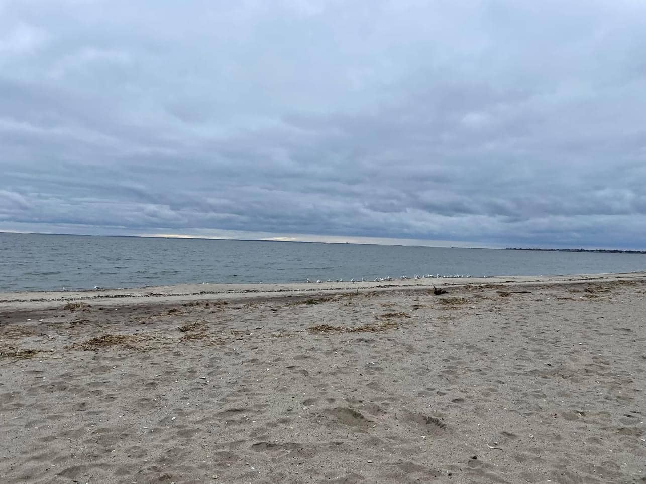 Walnut Beach Coffee House