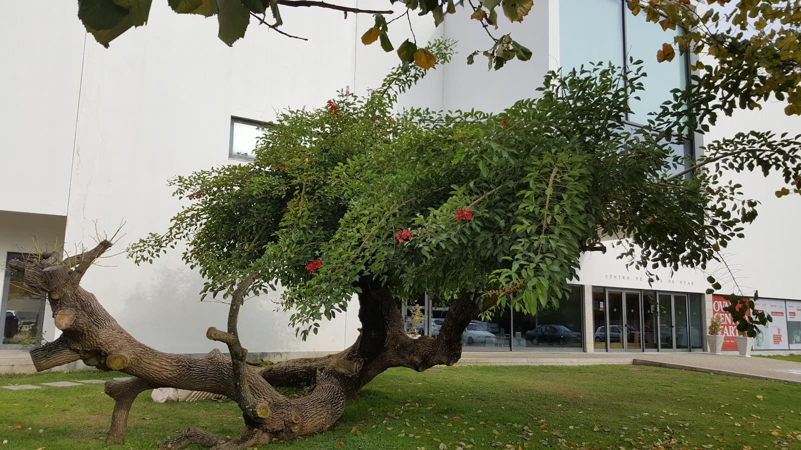 Ovar Historic Center - Image 1