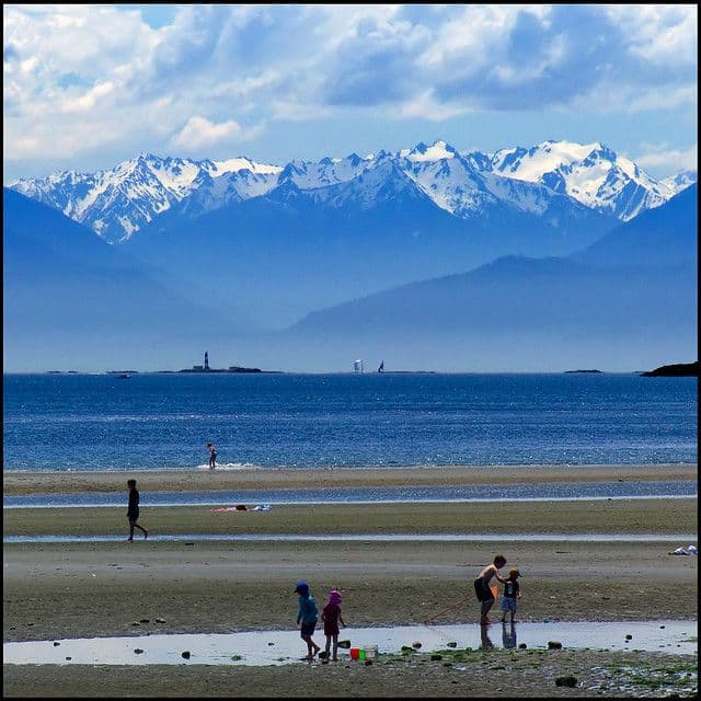 Witty's Lagoon Regional Park - Image 1