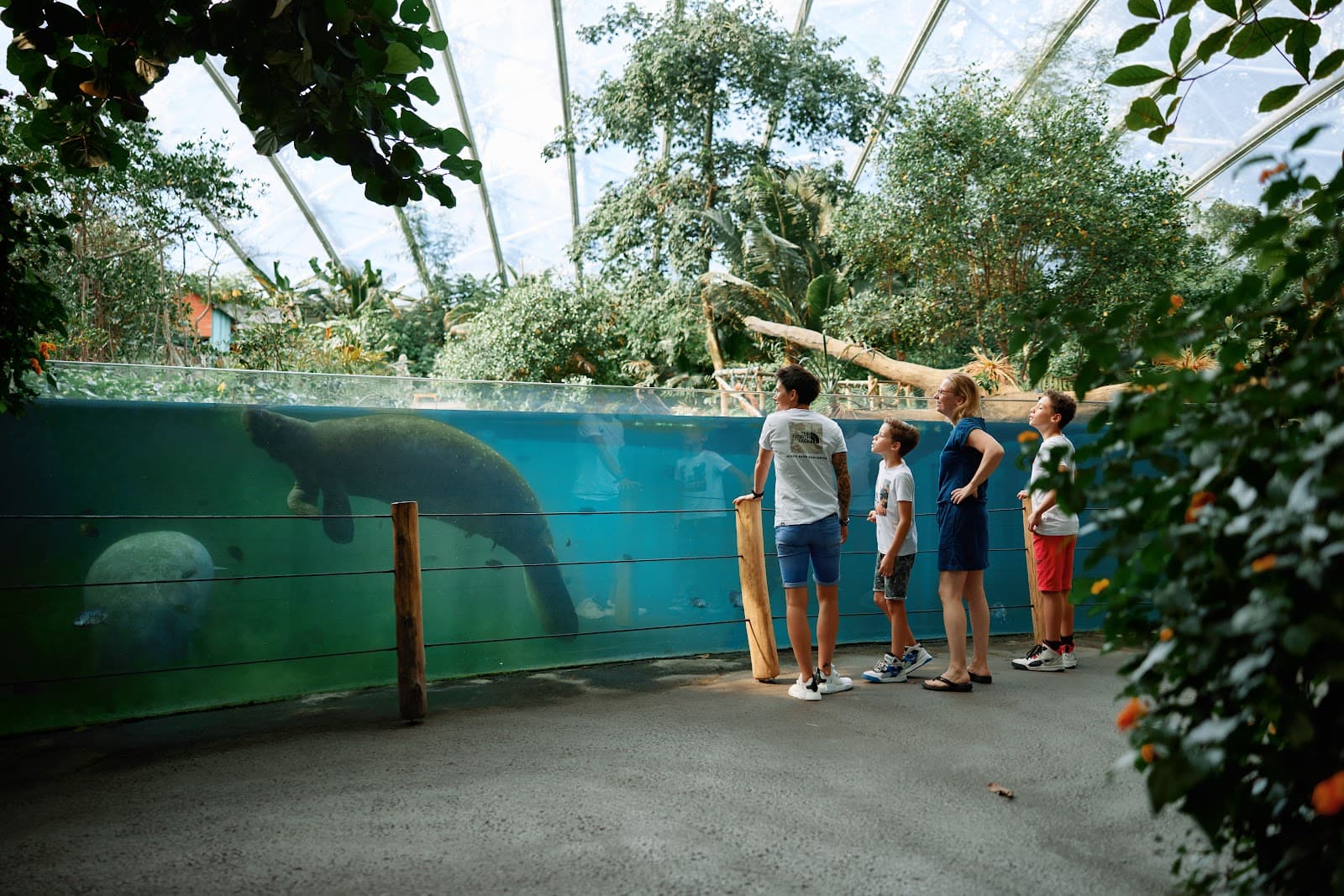 Burgers' Zoo - Image 1