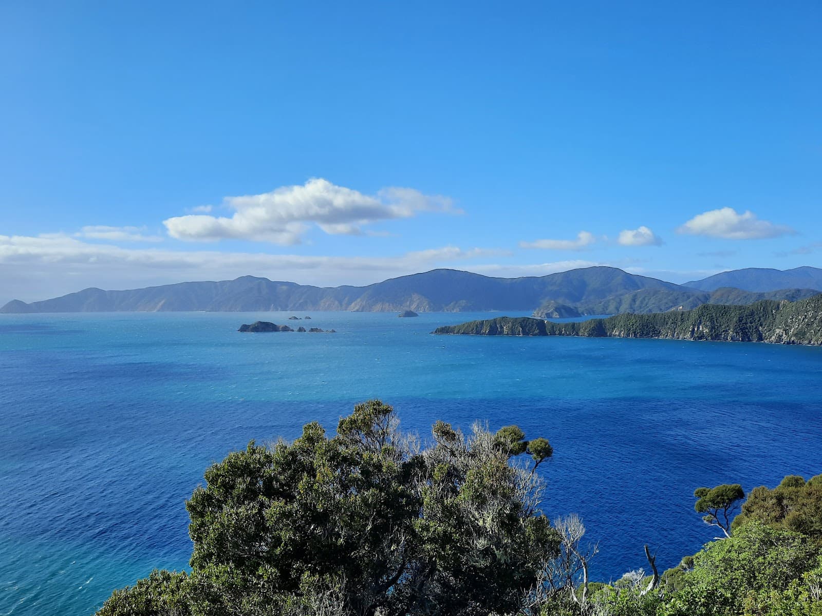 Motuara Island Sanctuary - Image 1