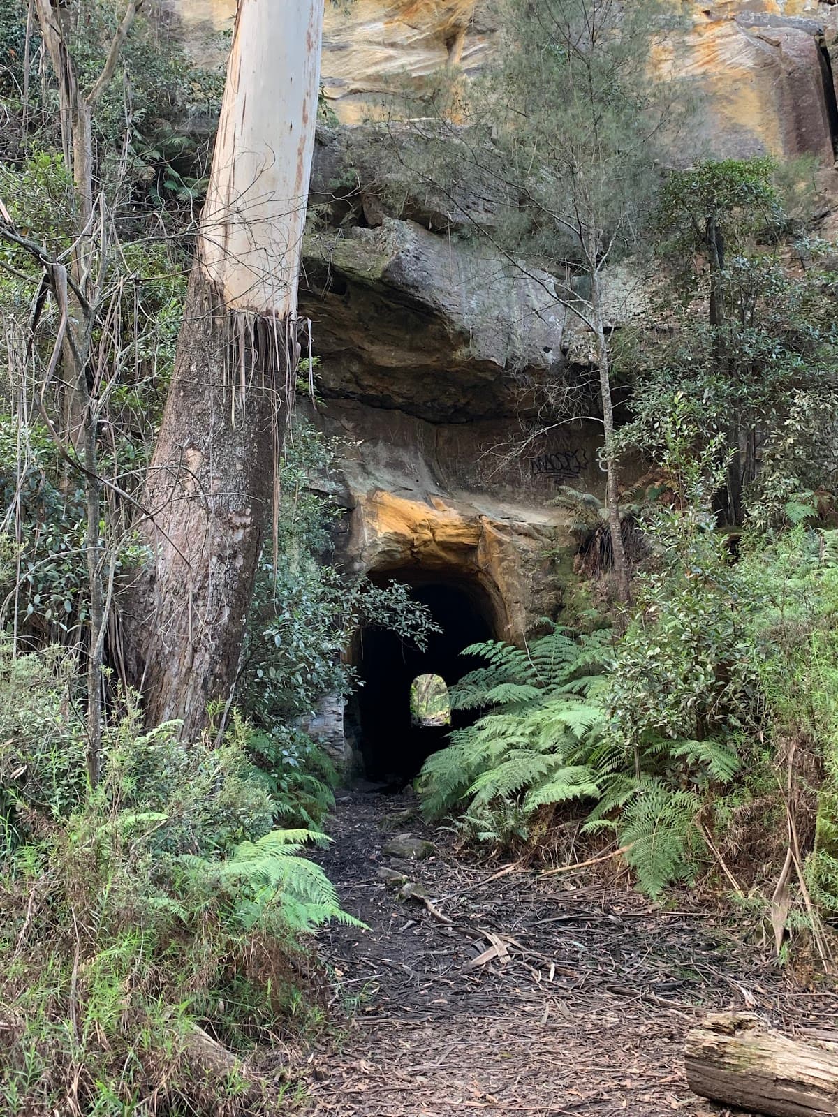 Box Vale Walking Track - Image 1