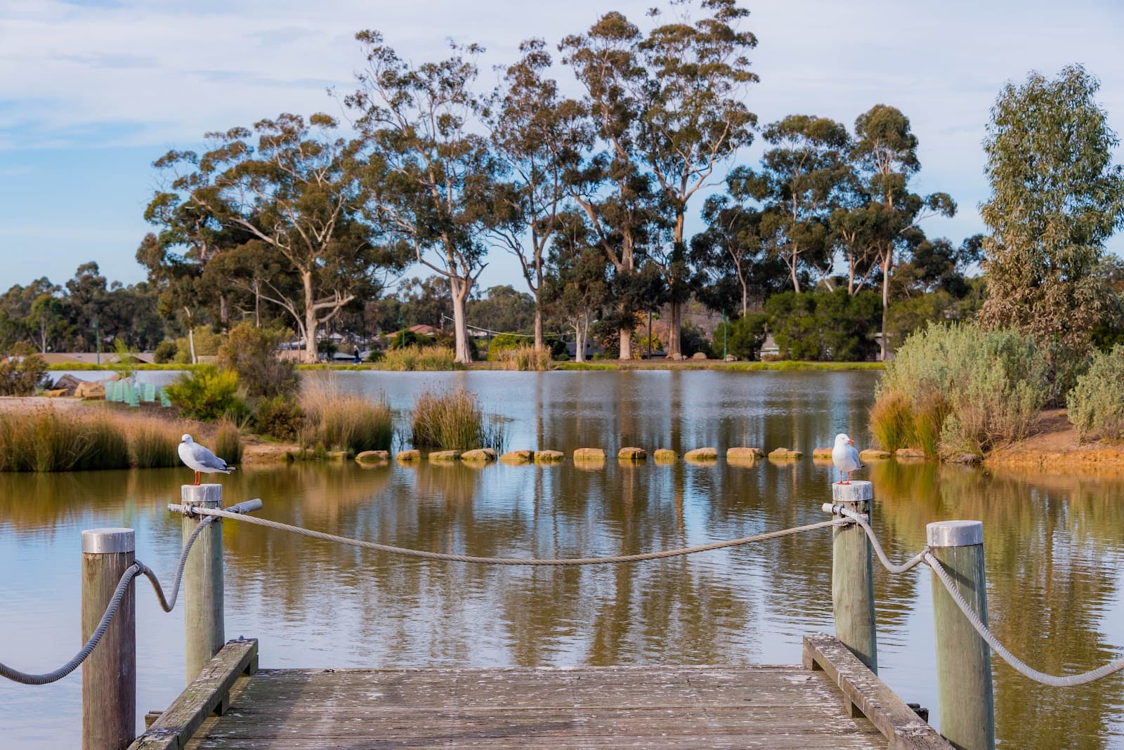 Lake Neangar - Image 1