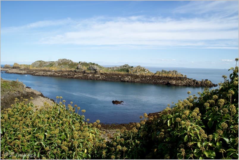 Île des Landes Nature Reserve - Image 1