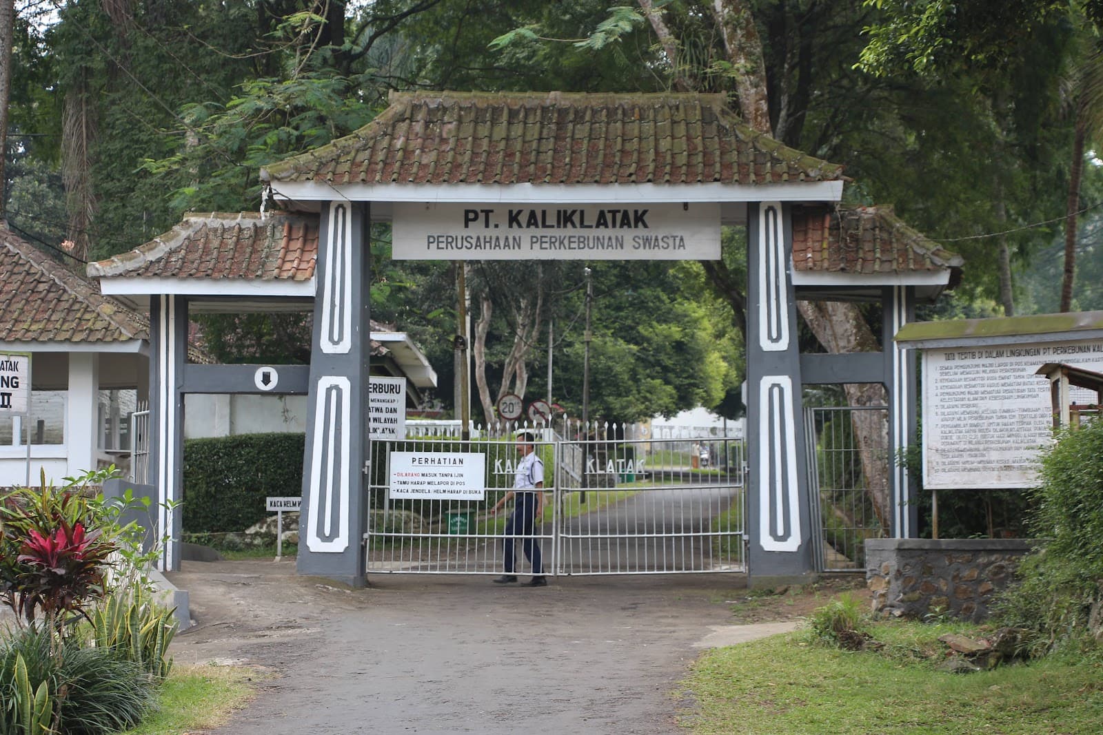 Kaliklatak Plantation - Image 1