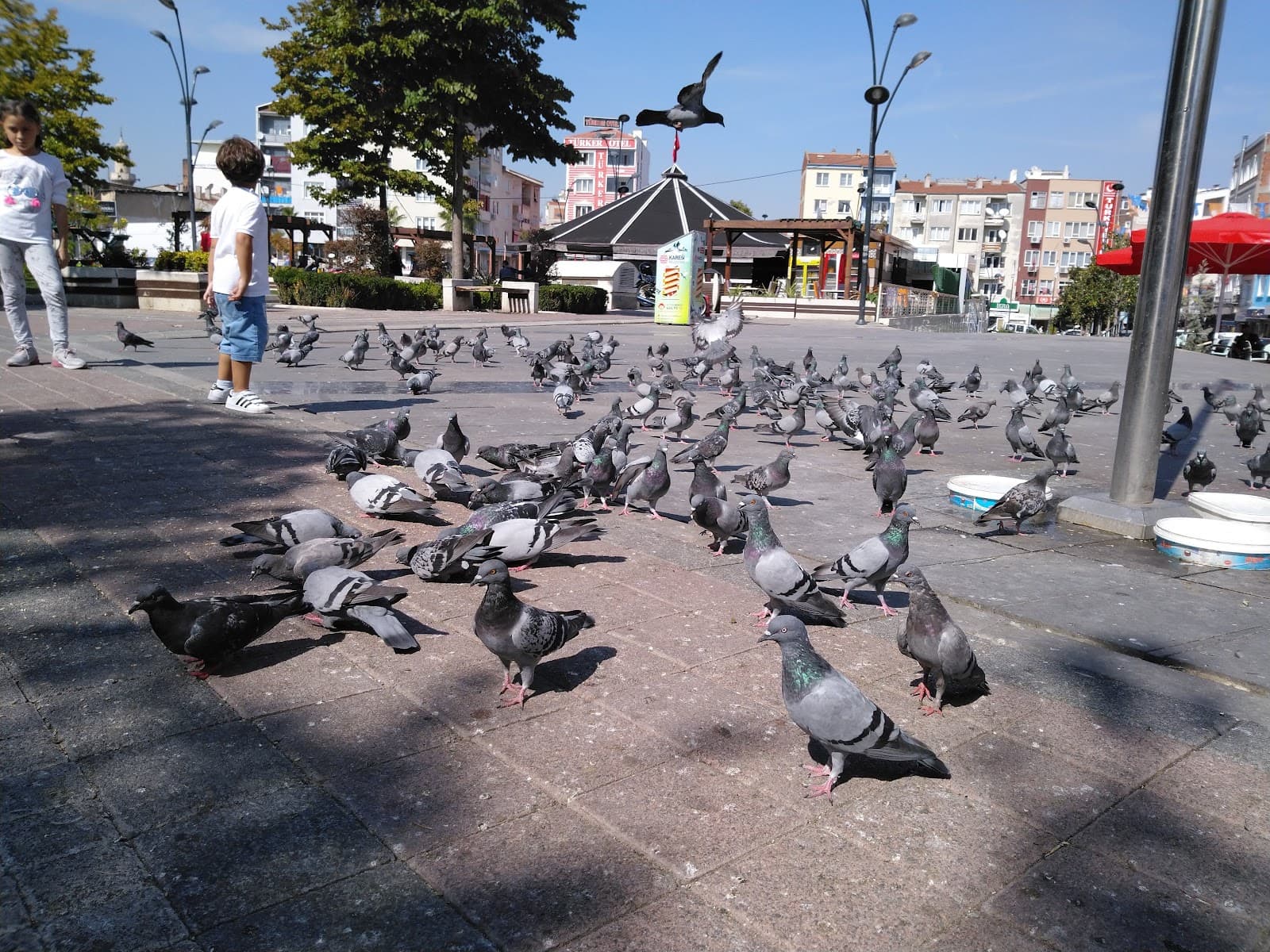 Ali Hikmet Pasa Square - Image 1