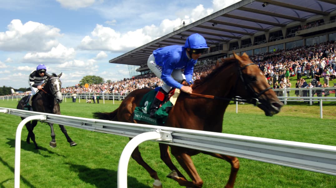 Sandown Park Racecourse - Image 1