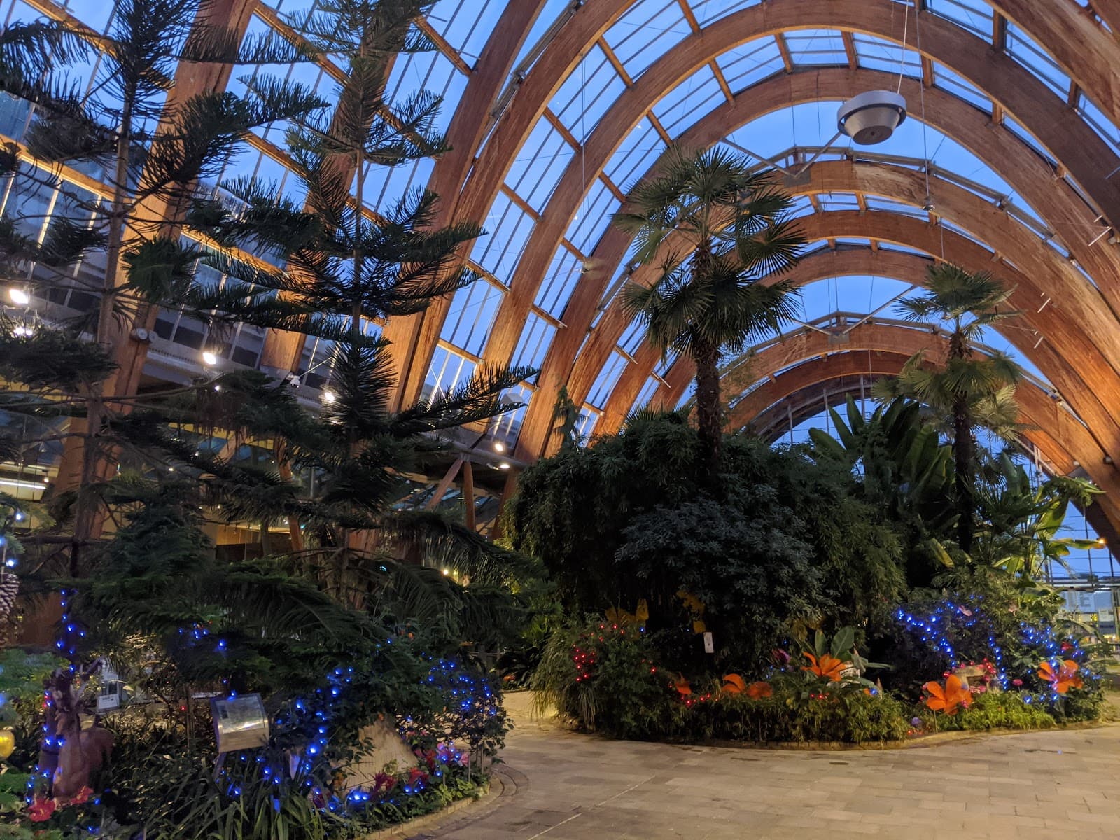 Winter Garden - Image 1