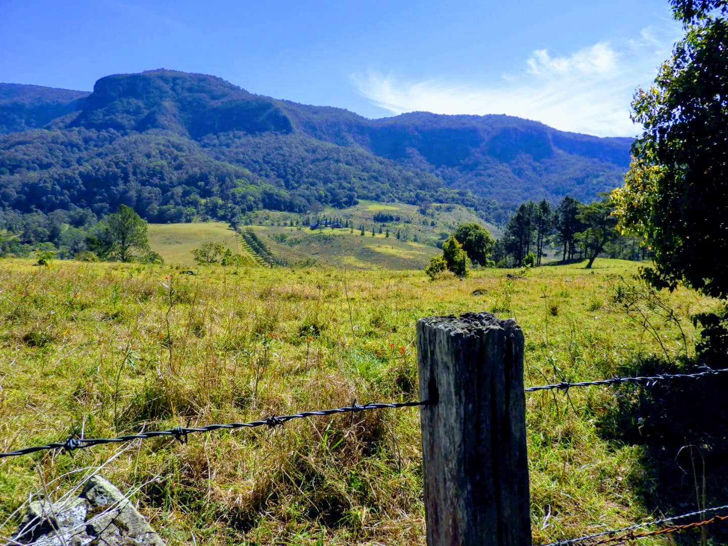 Border Ranges National Park