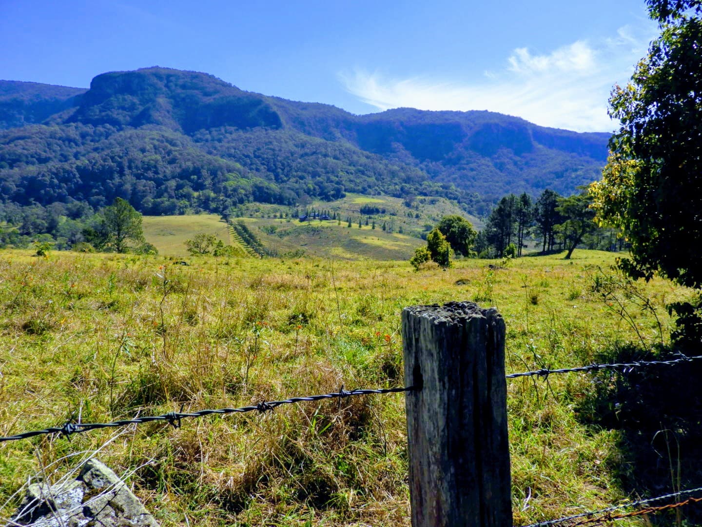 Numinbah Valley - Image 1
