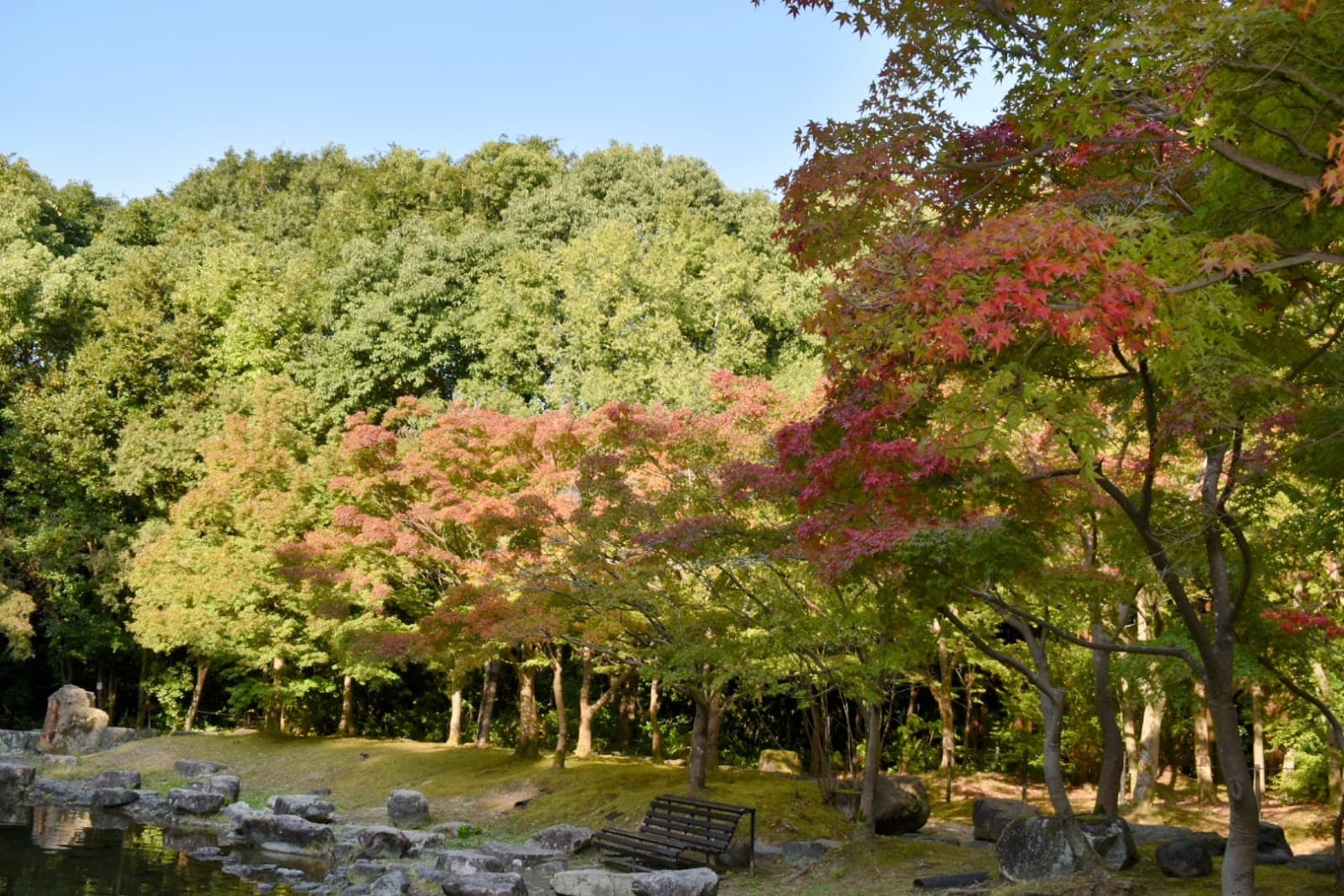 Natural and Cultural Gardens (Expo Park) - Image 1